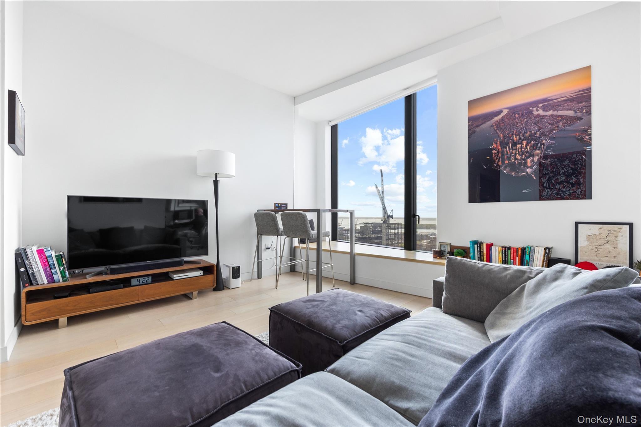 Condo Hoyt  Brooklyn, NY 11201, MLS-991668-3
