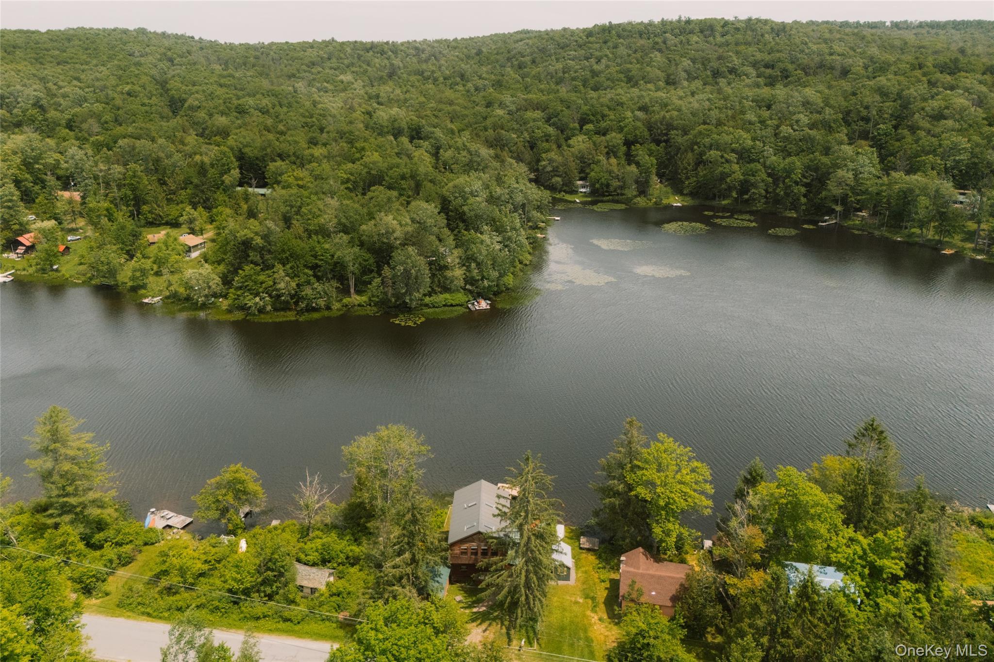 Single Family Trout Brook Road  Sullivan County, NY 12776, MLS-991672-25