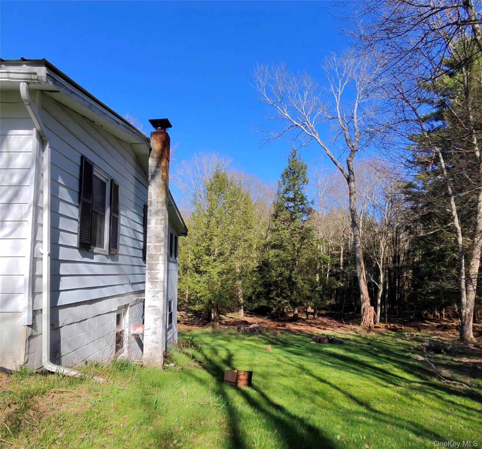 Single Family Back Shandelee Sullivan County, NY 12758, MLS-991673-16