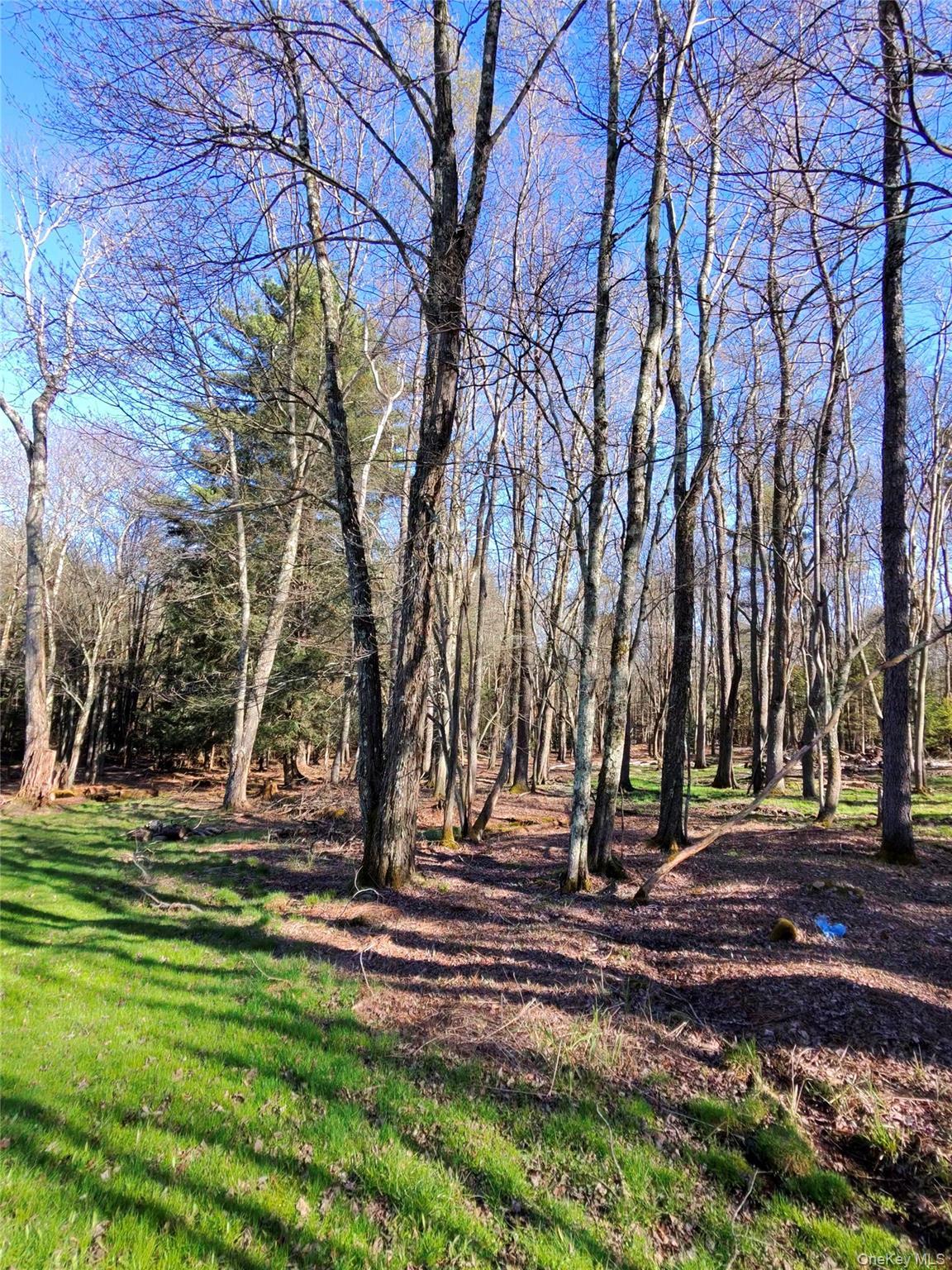 Single Family Back Shandelee Sullivan County, NY 12758, MLS-991673-17