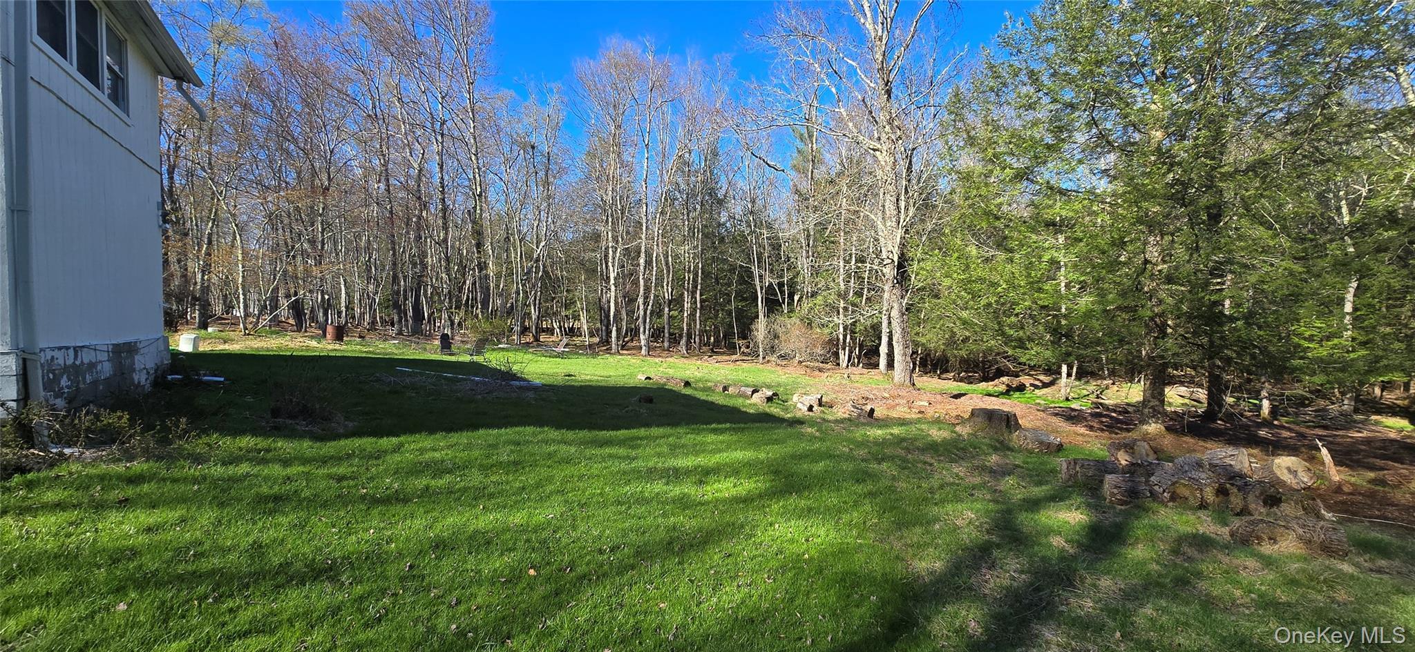 Single Family Back Shandelee Sullivan County, NY 12758, MLS-991673-18