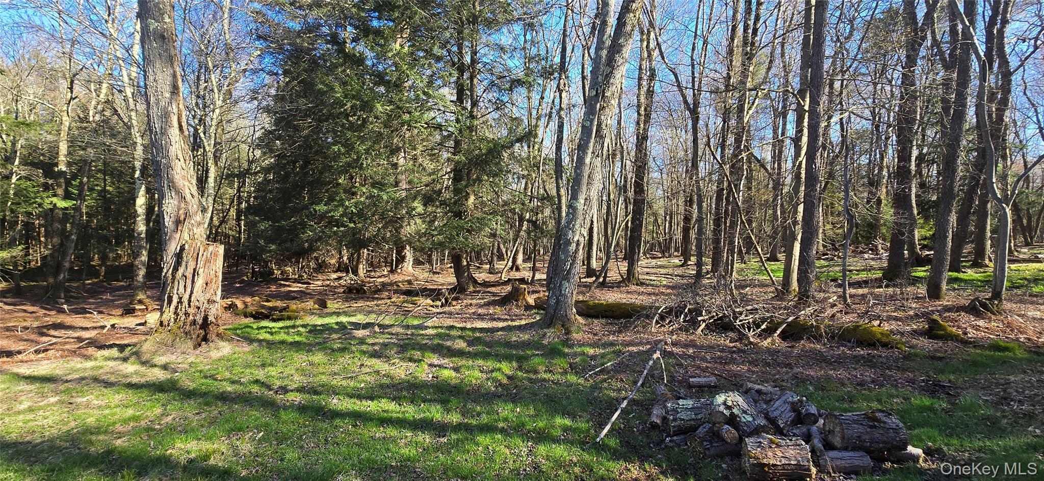 Single Family Back Shandelee Sullivan County, NY 12758, MLS-991673-19