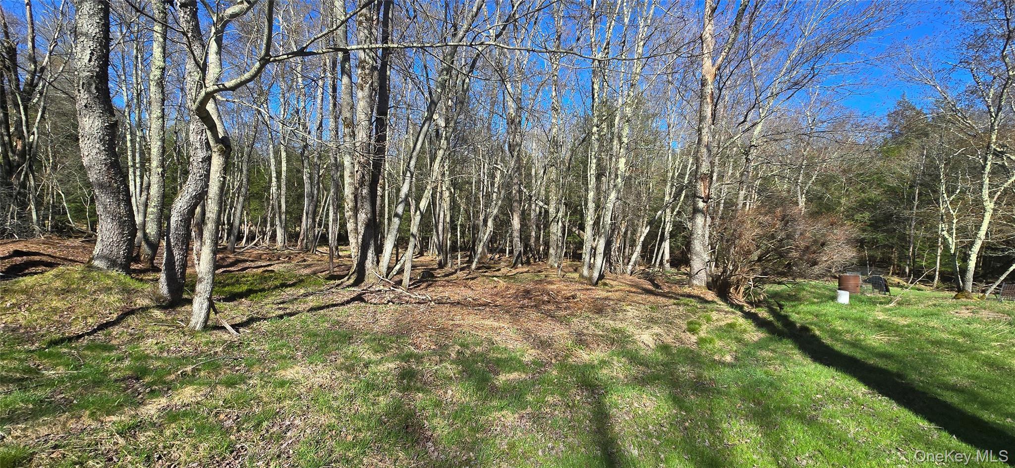 Single Family Back Shandelee Sullivan County, NY 12758, MLS-991673-21