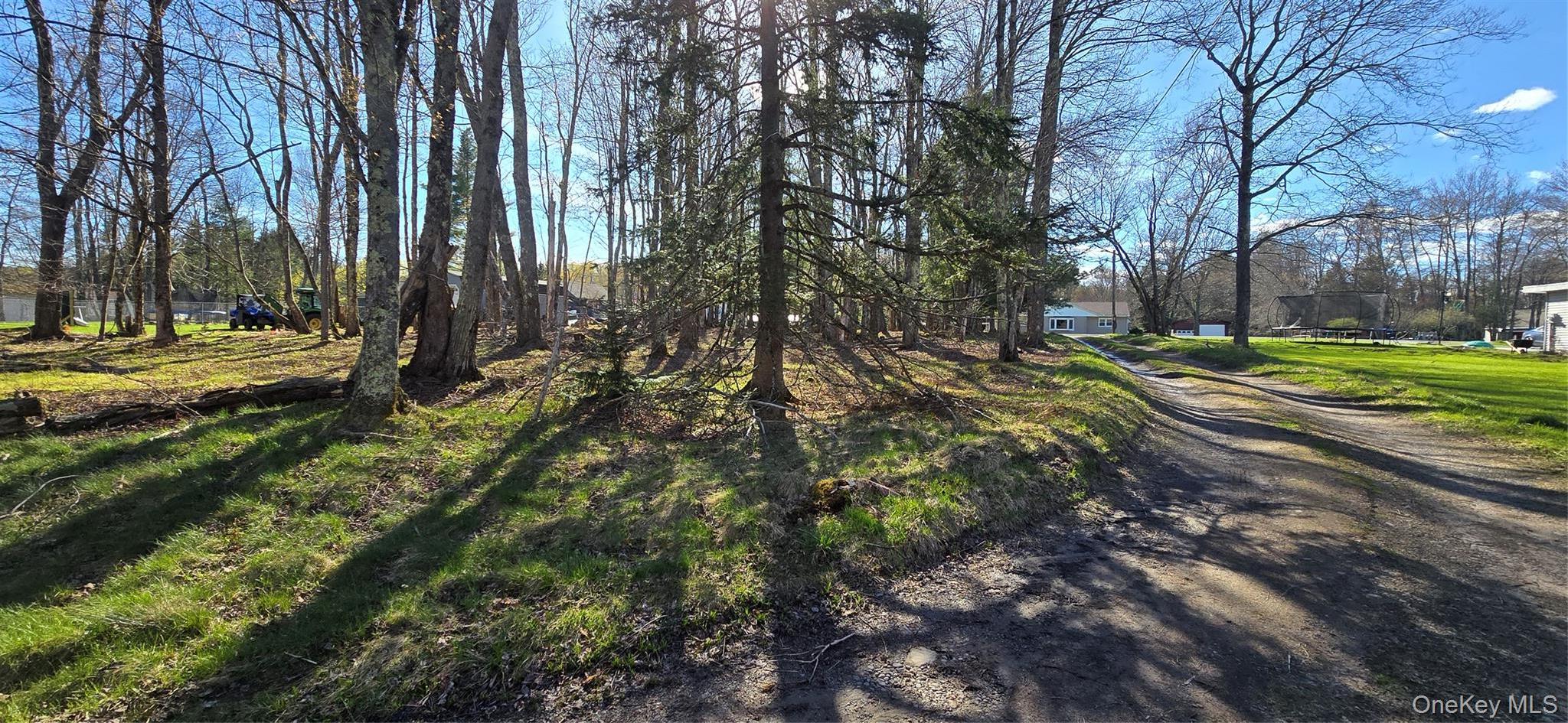 Single Family Back Shandelee  Sullivan County, NY 12758, MLS-991673-26
