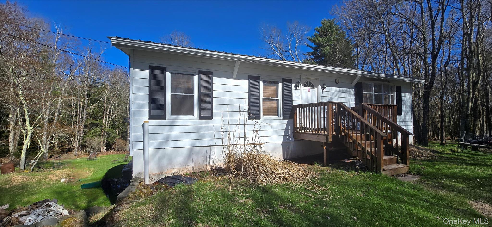 Single Family Back Shandelee Sullivan County, NY 12758, MLS-991673-3