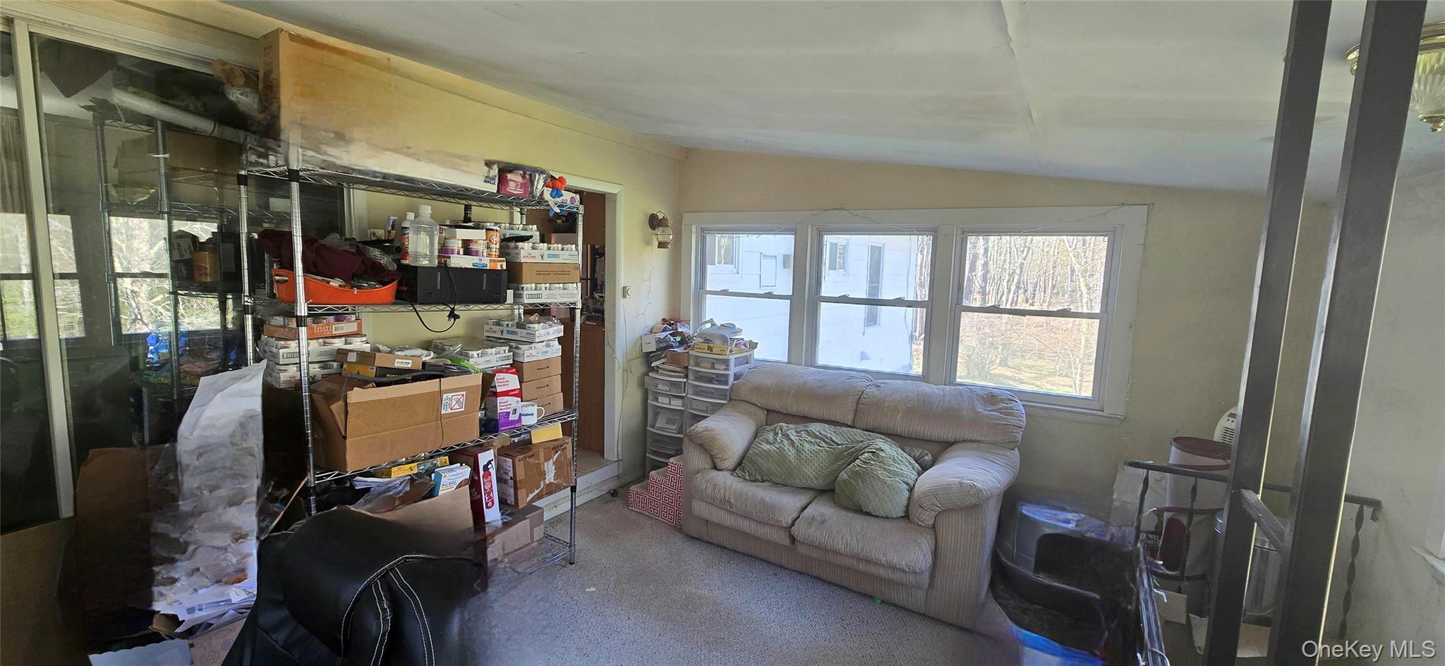 Single Family Back Shandelee Sullivan County, NY 12758, MLS-991673-8