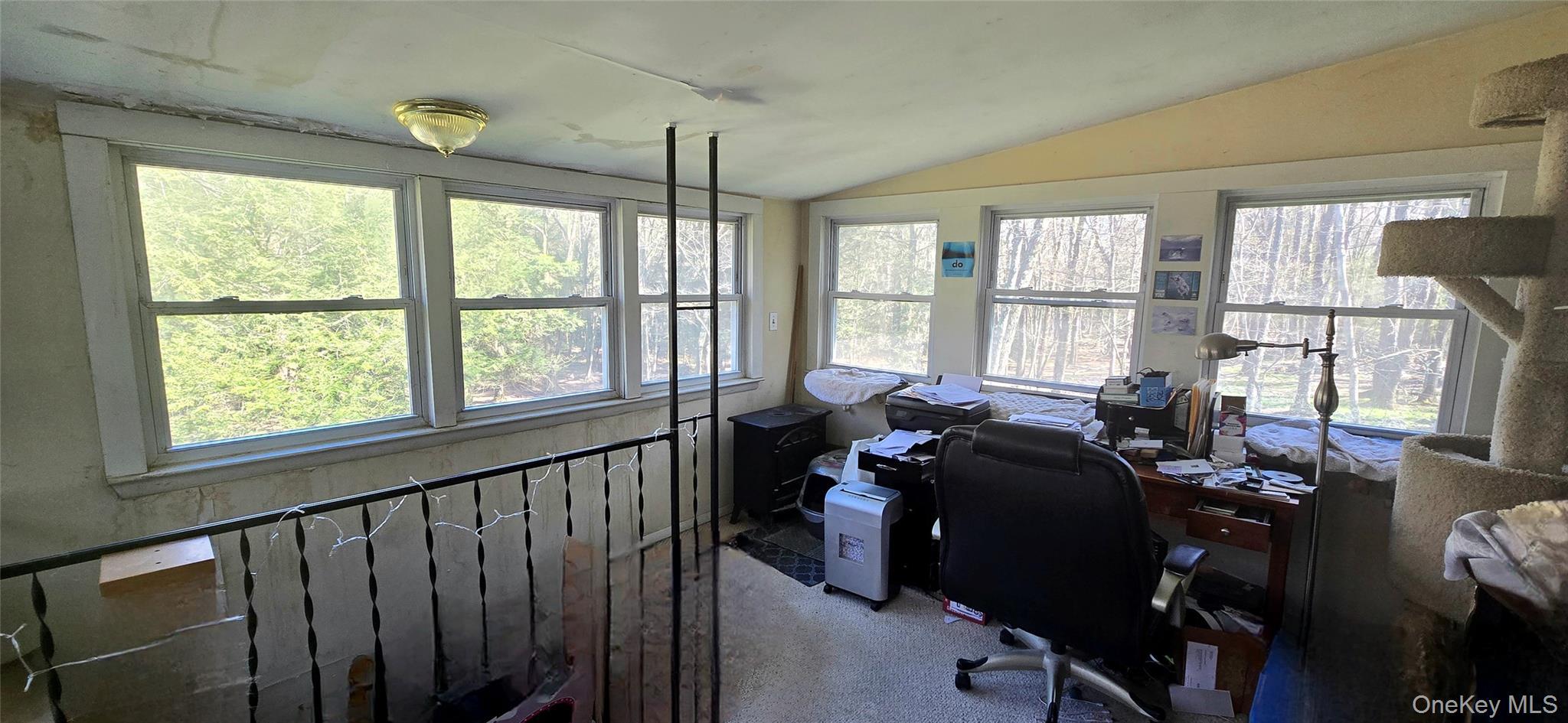 Single Family Back Shandelee Sullivan County, NY 12758, MLS-991673-9