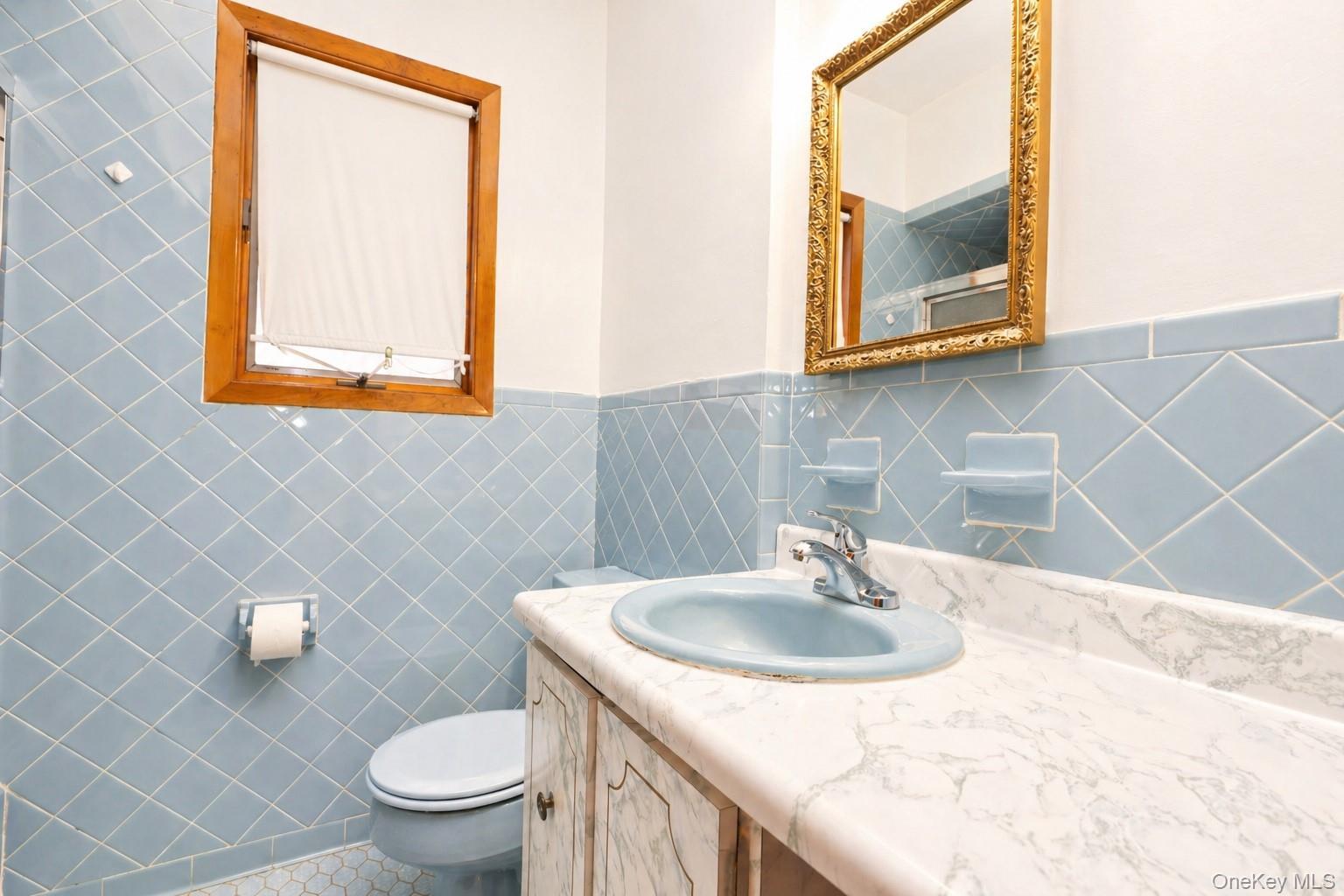 Single Family Scherer  Nassau County, NY 11010, MLS-991685-8