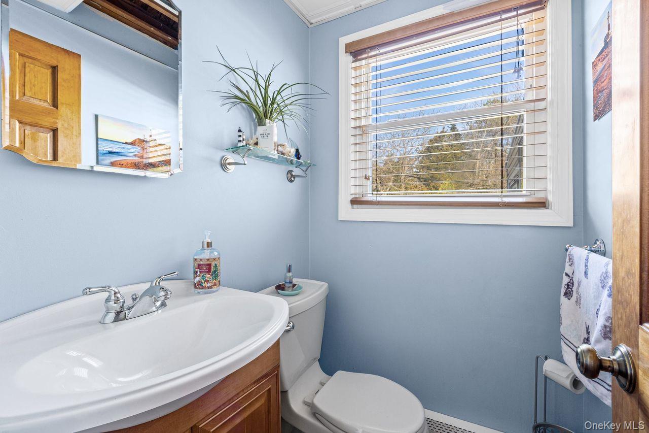 Single Family Autumn  Suffolk County, NY 11788, MLS-991714-15