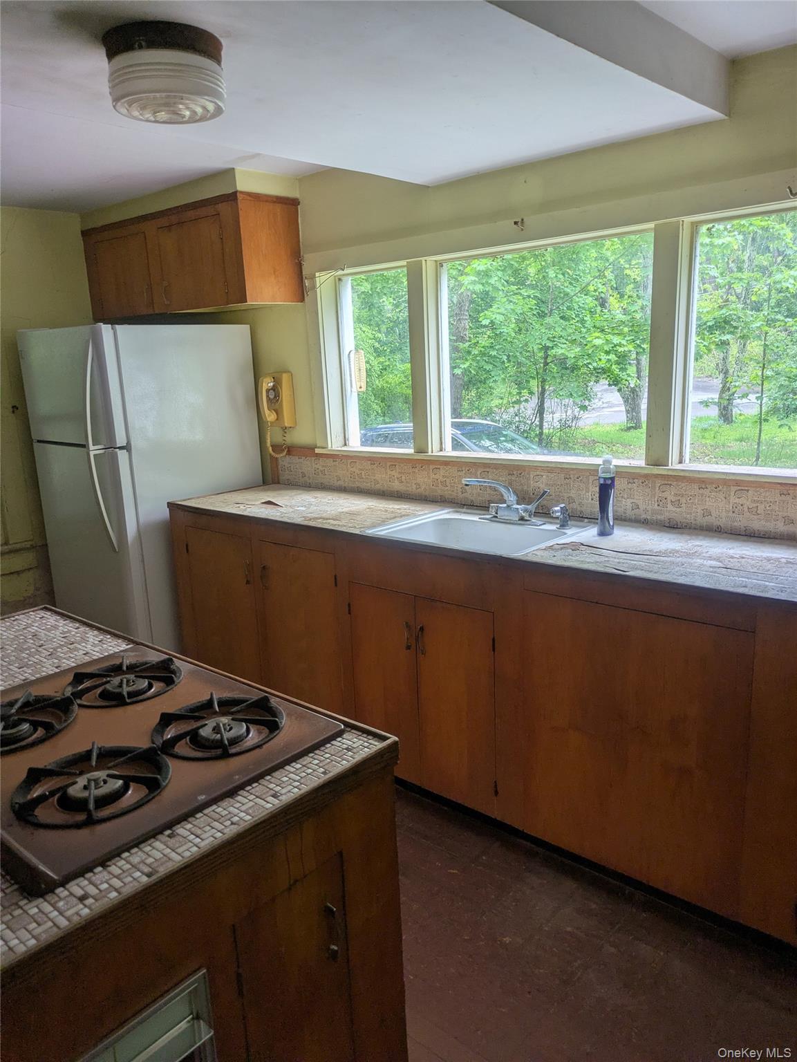 Single Family Mount Pleasant Ulster County, NY 12457, MLS-991782-12