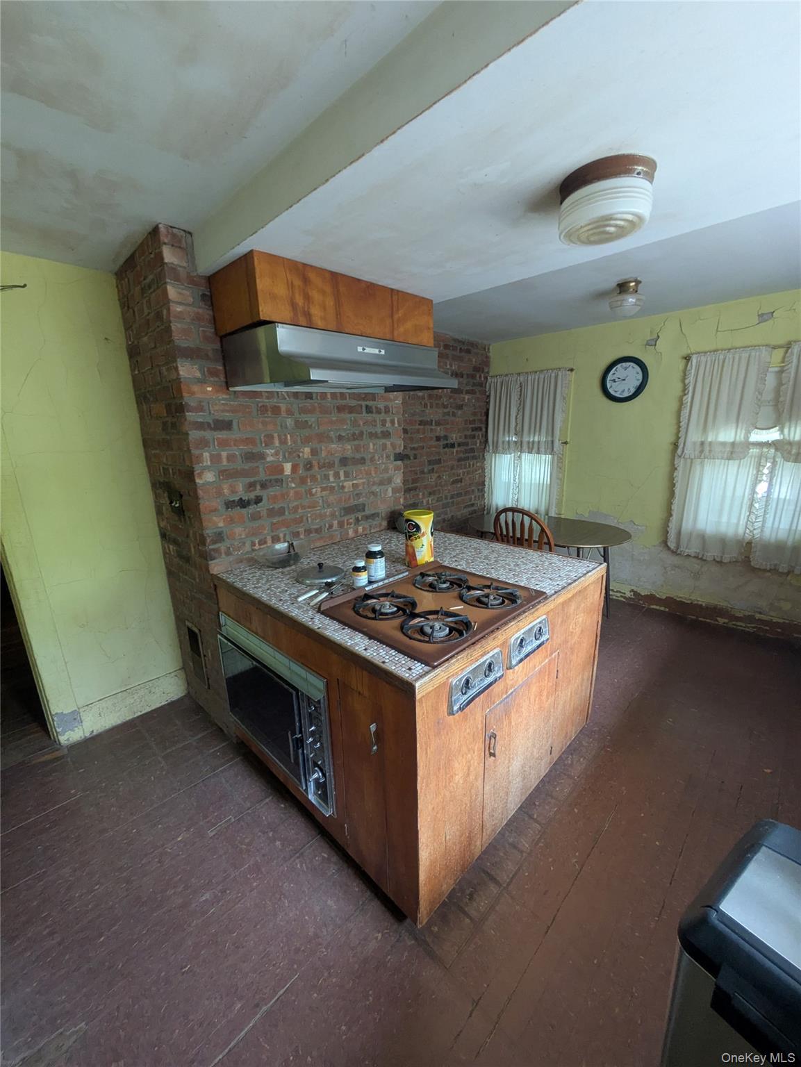 Single Family Mount Pleasant Ulster County, NY 12457, MLS-991782-13