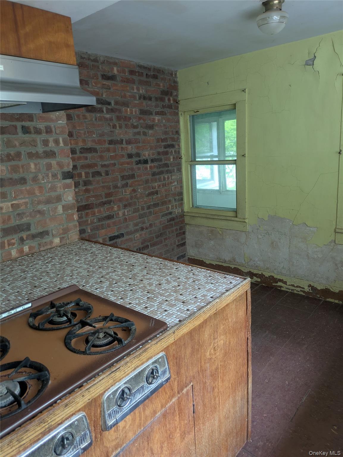 Single Family Mount Pleasant Ulster County, NY 12457, MLS-991782-14