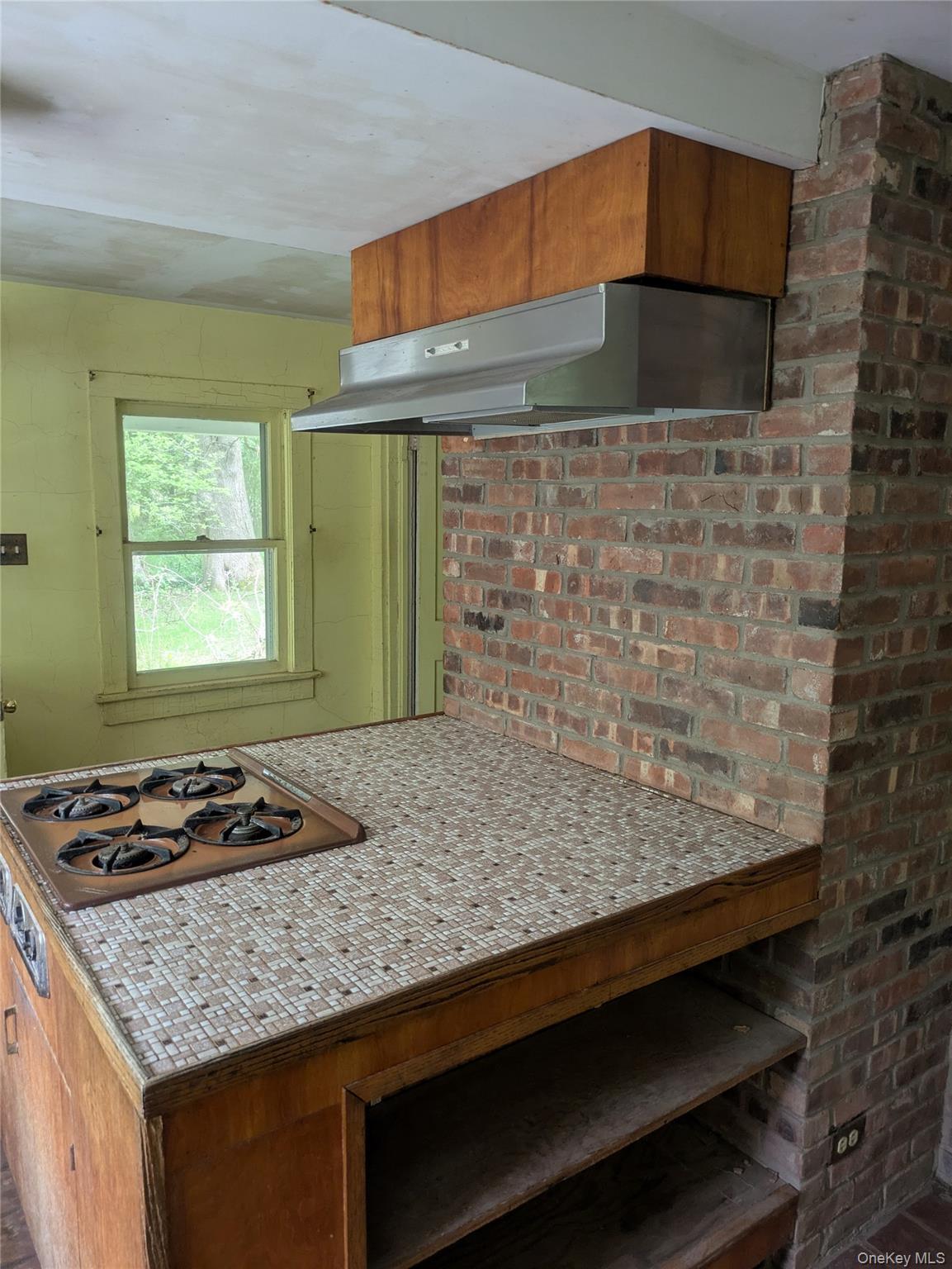 Single Family Mount Pleasant Ulster County, NY 12457, MLS-991782-15