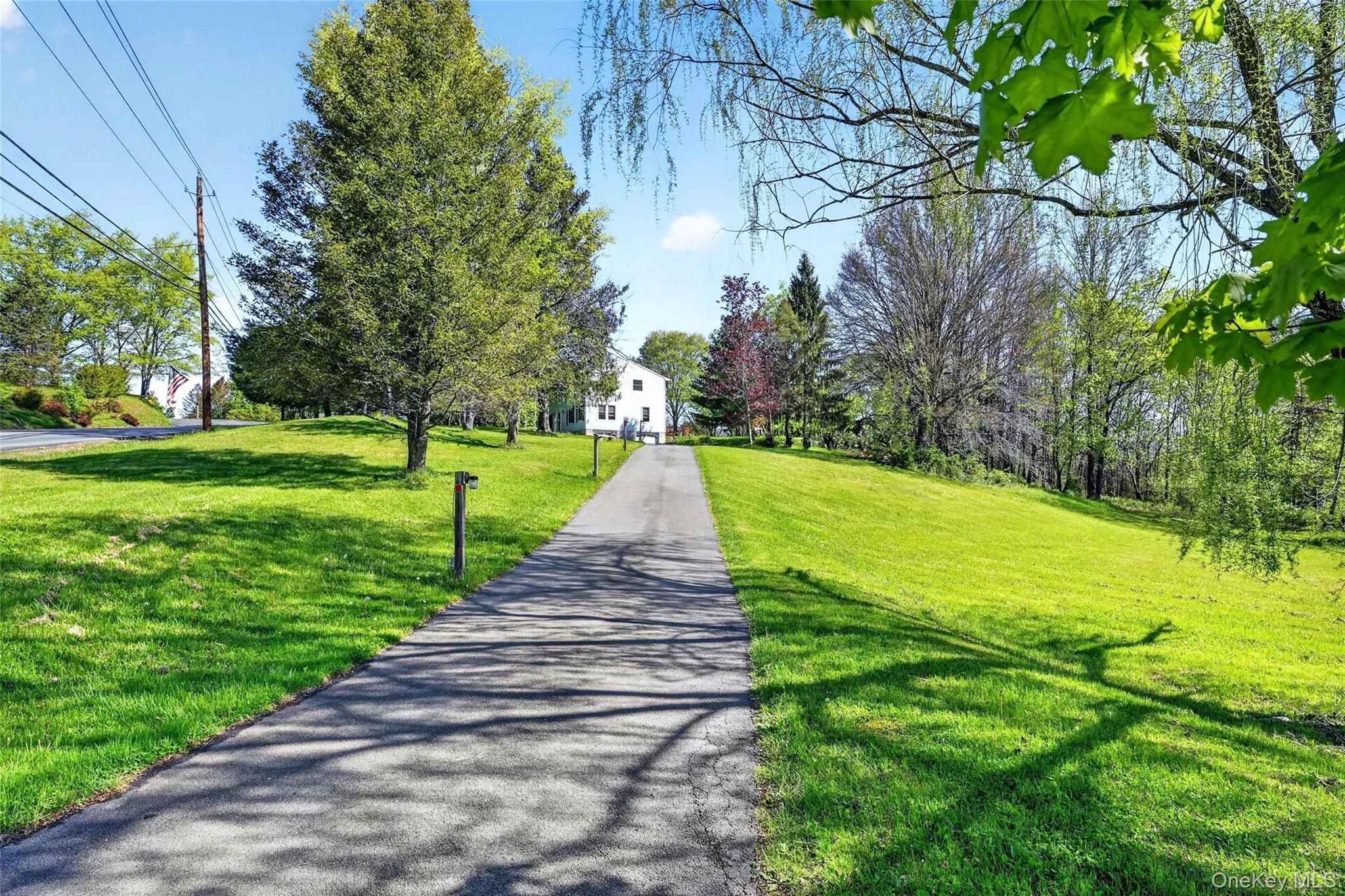 Single Family Phillipsburg Road  Orange County, NY 10924, MLS-991846-3