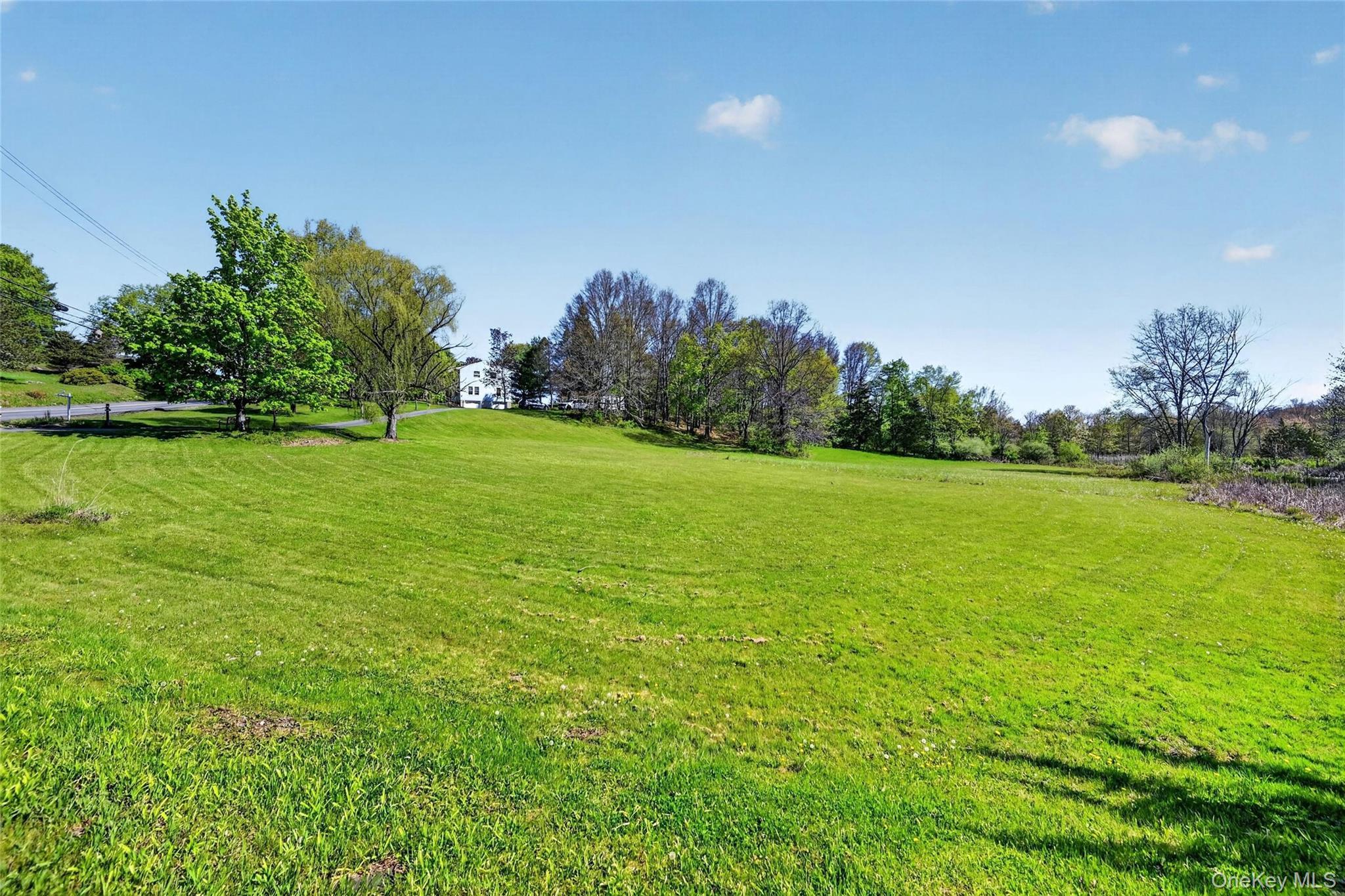 Single Family Phillipsburg Road  Orange County, NY 10924, MLS-991846-46