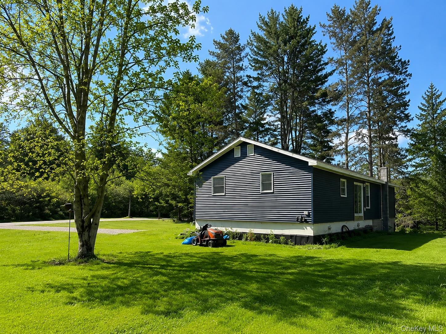 Single Family Debruce Sullivan County, NY 12758, MLS-991879-3