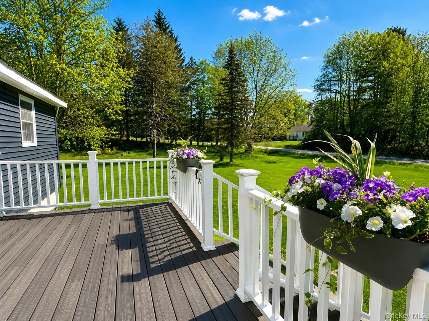 Single Family Debruce Sullivan County, NY 12758, MLS-991879-5