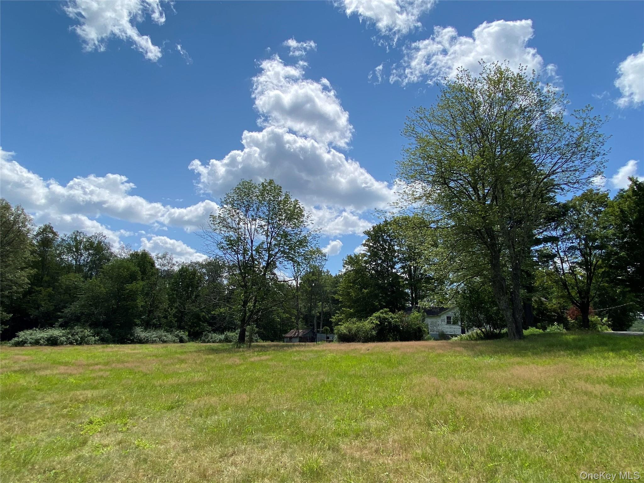 Single Family Oak Ridge Ulster County, NY 12428, MLS-991916-13