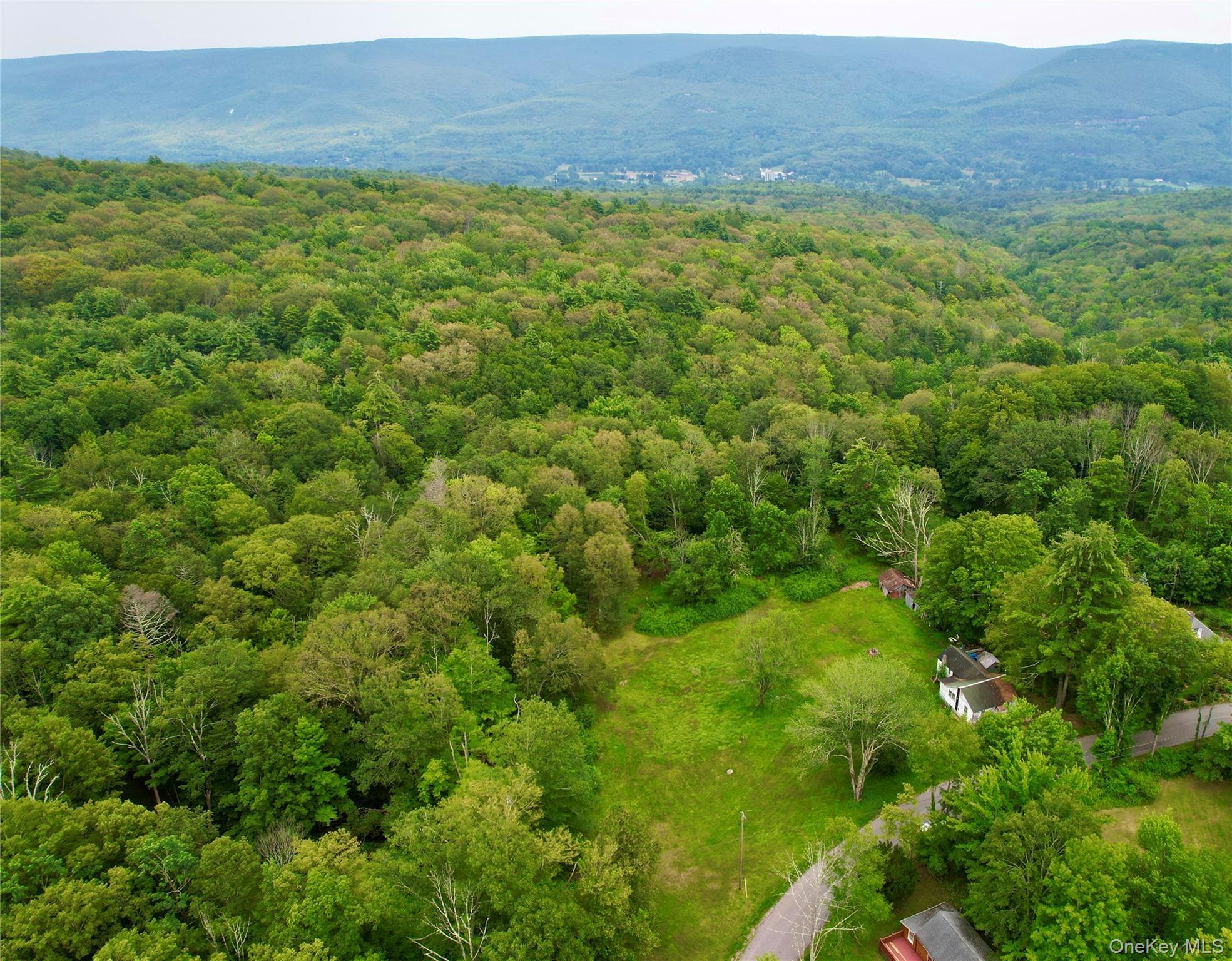 Single Family Oak Ridge Ulster County, NY 12428, MLS-991916-2