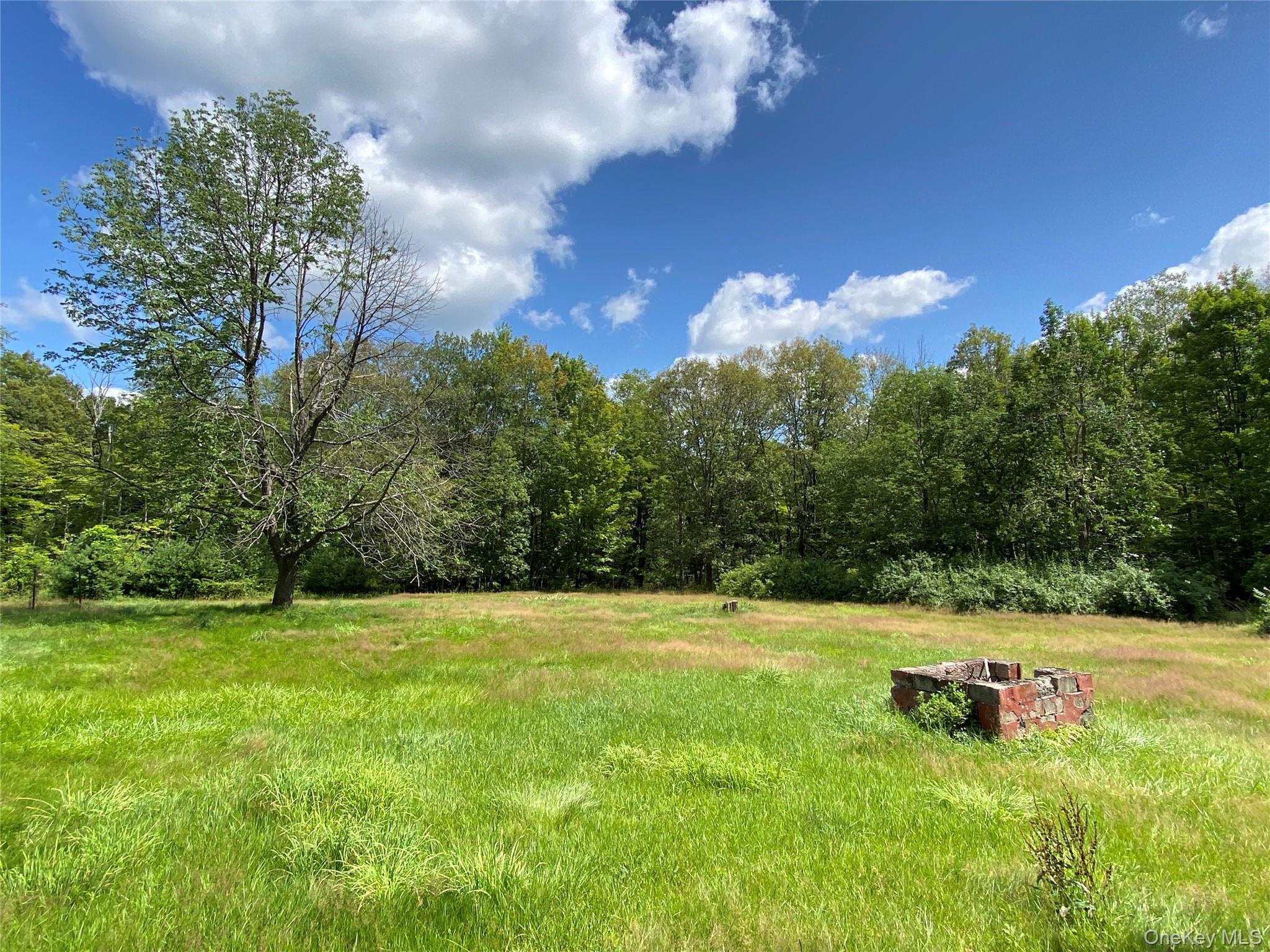 Single Family Oak Ridge Ulster County, NY 12428, MLS-991916-5