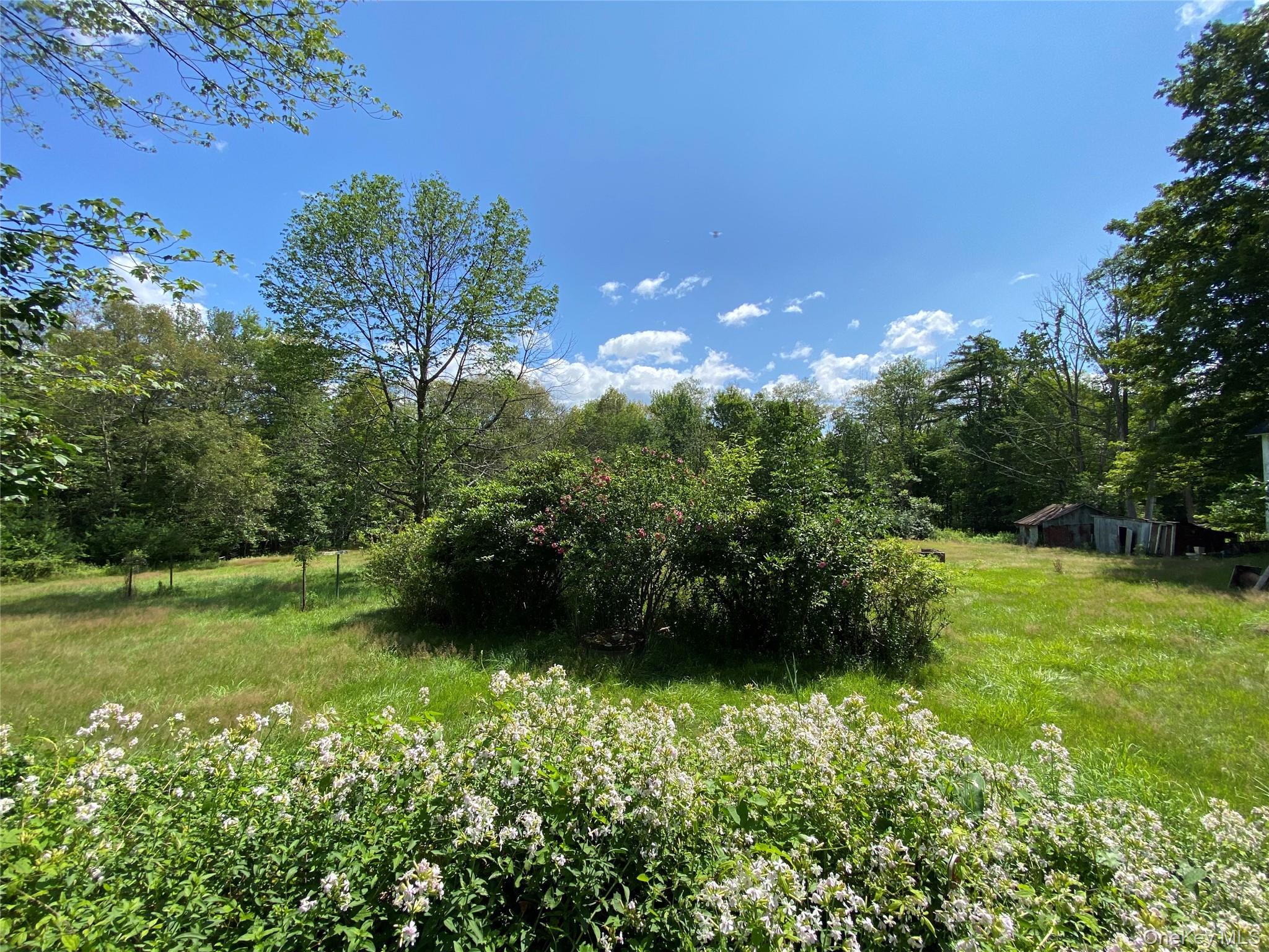 Single Family Oak Ridge Ulster County, NY 12428, MLS-991916-6