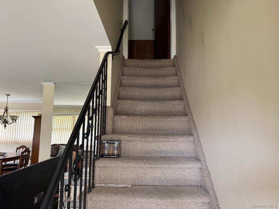 Single Family Colonade  Nassau County, NY 11552, MLS-991957-10