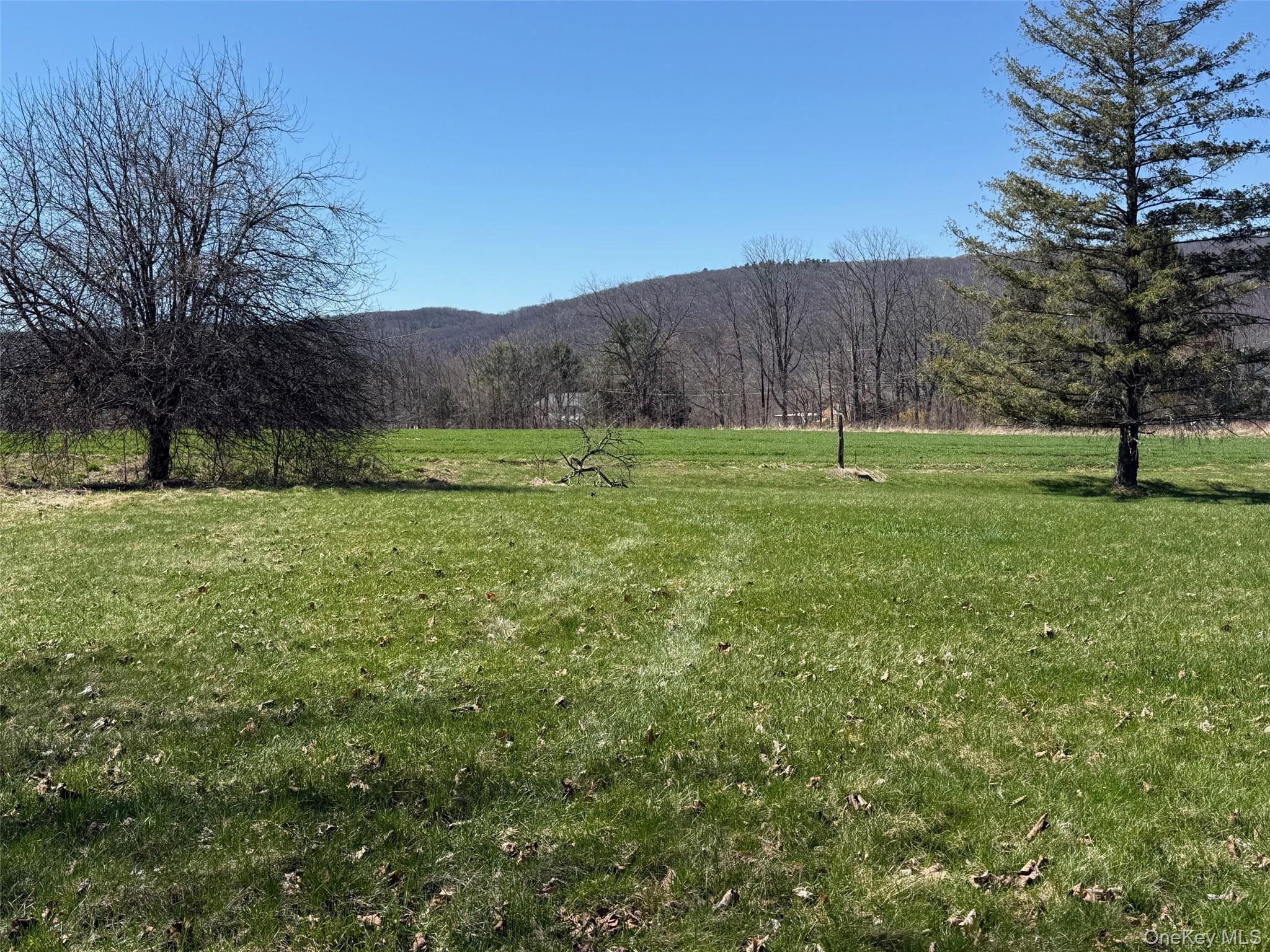 Single Family Depot Hill  Dutchess County, NY 12501, MLS-991986-11