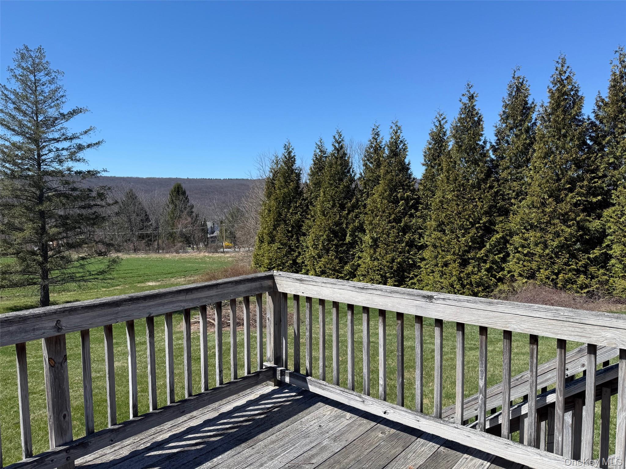 Single Family Depot Hill  Dutchess County, NY 12501, MLS-991986-3