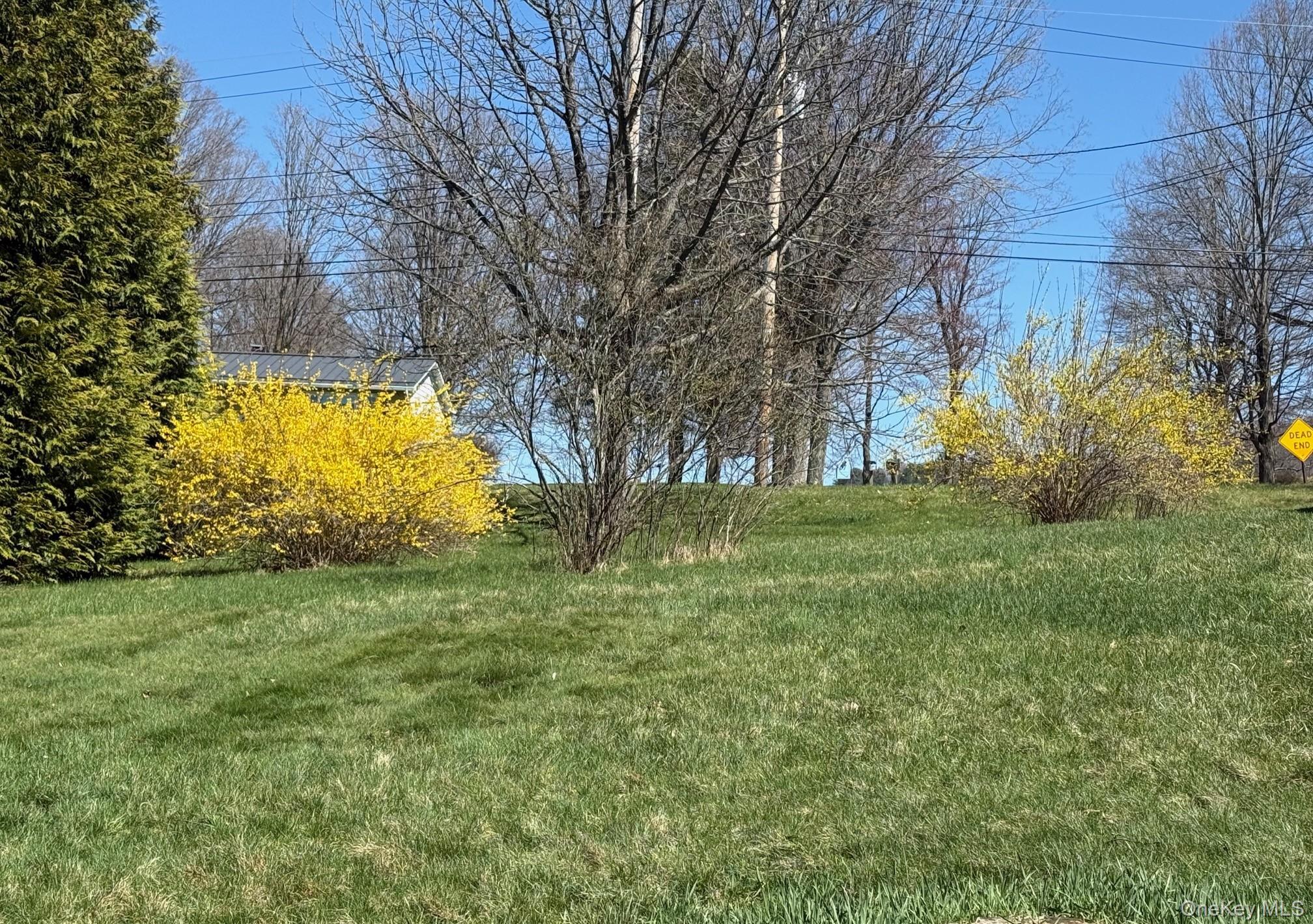 Single Family Depot Hill  Dutchess County, NY 12501, MLS-991986-9