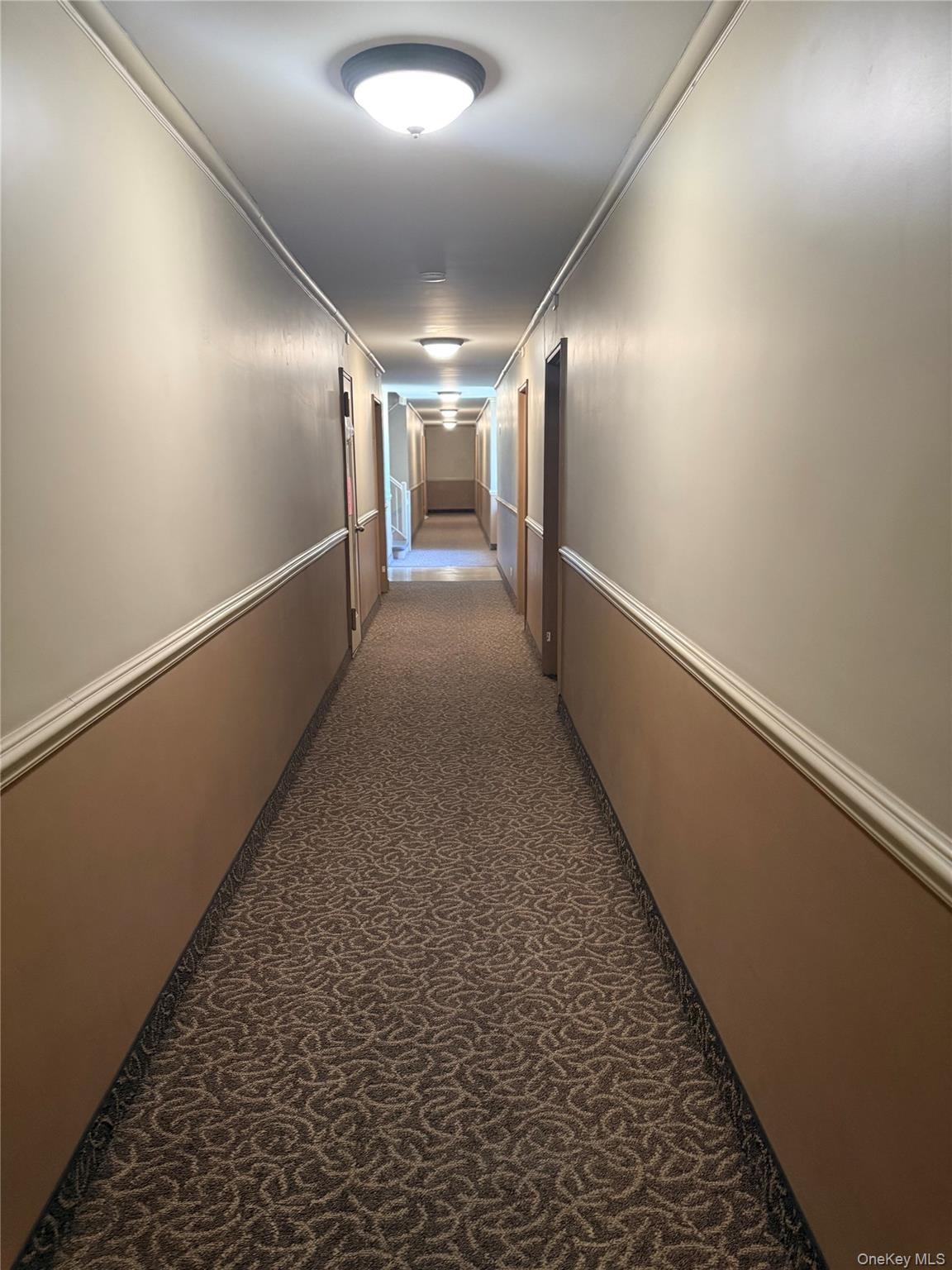 Apartment 84th Drive  Queens, NY 11435, MLS-991994-5