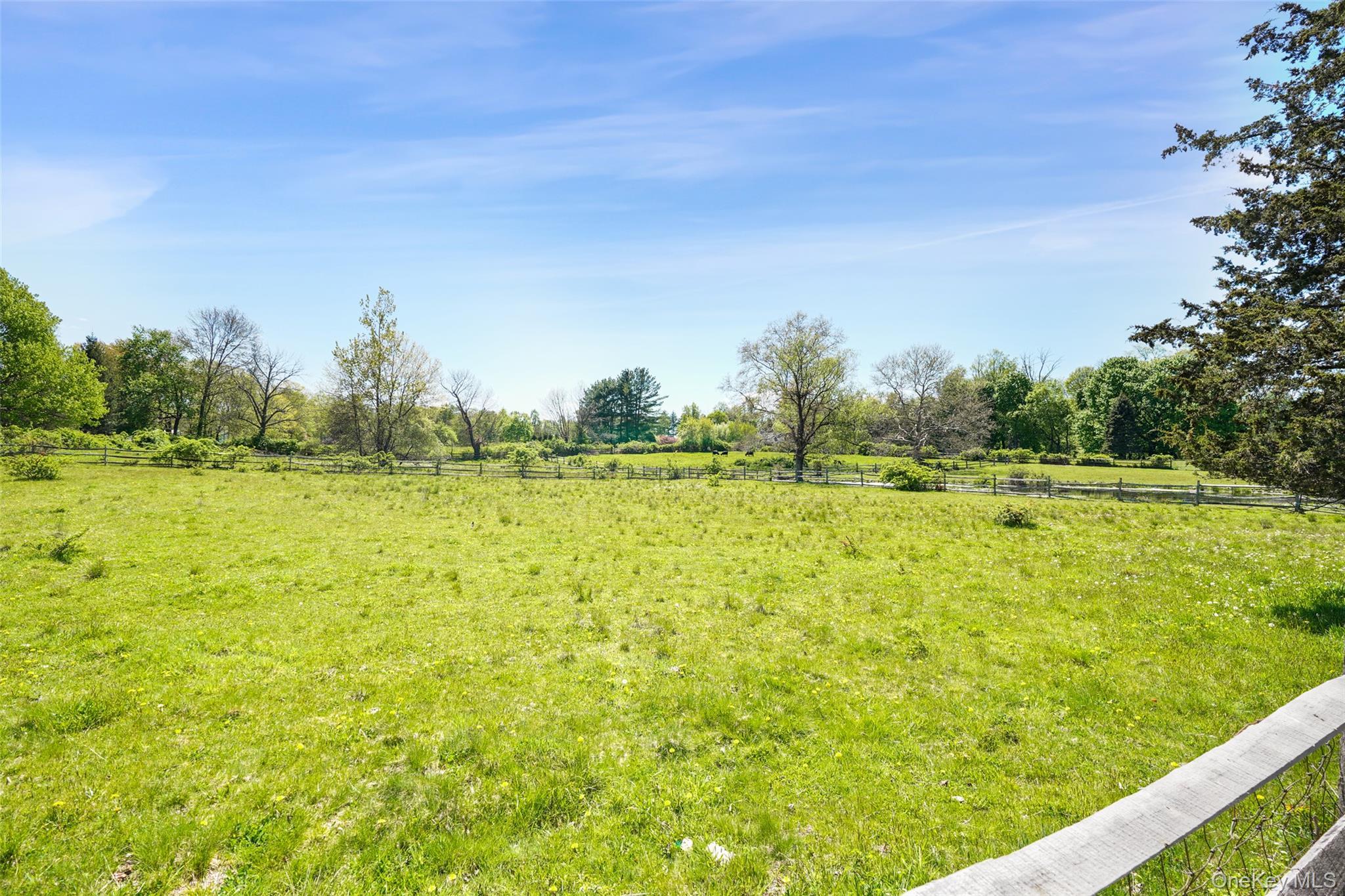 Single Family Mclain Street  Westchester County, NY 10507, MLS-992131-38