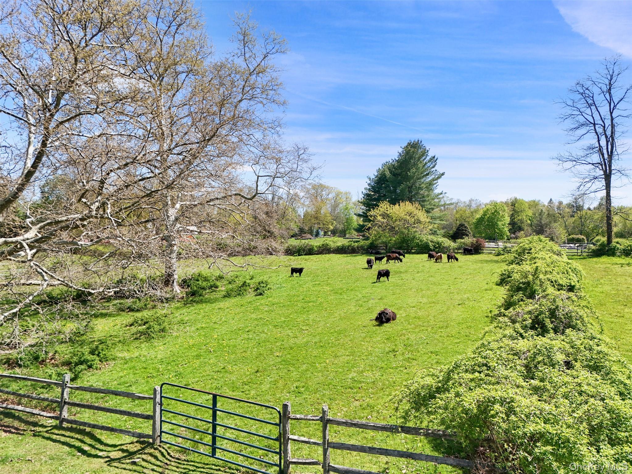 Single Family Mclain Street  Westchester County, NY 10507, MLS-992131-39