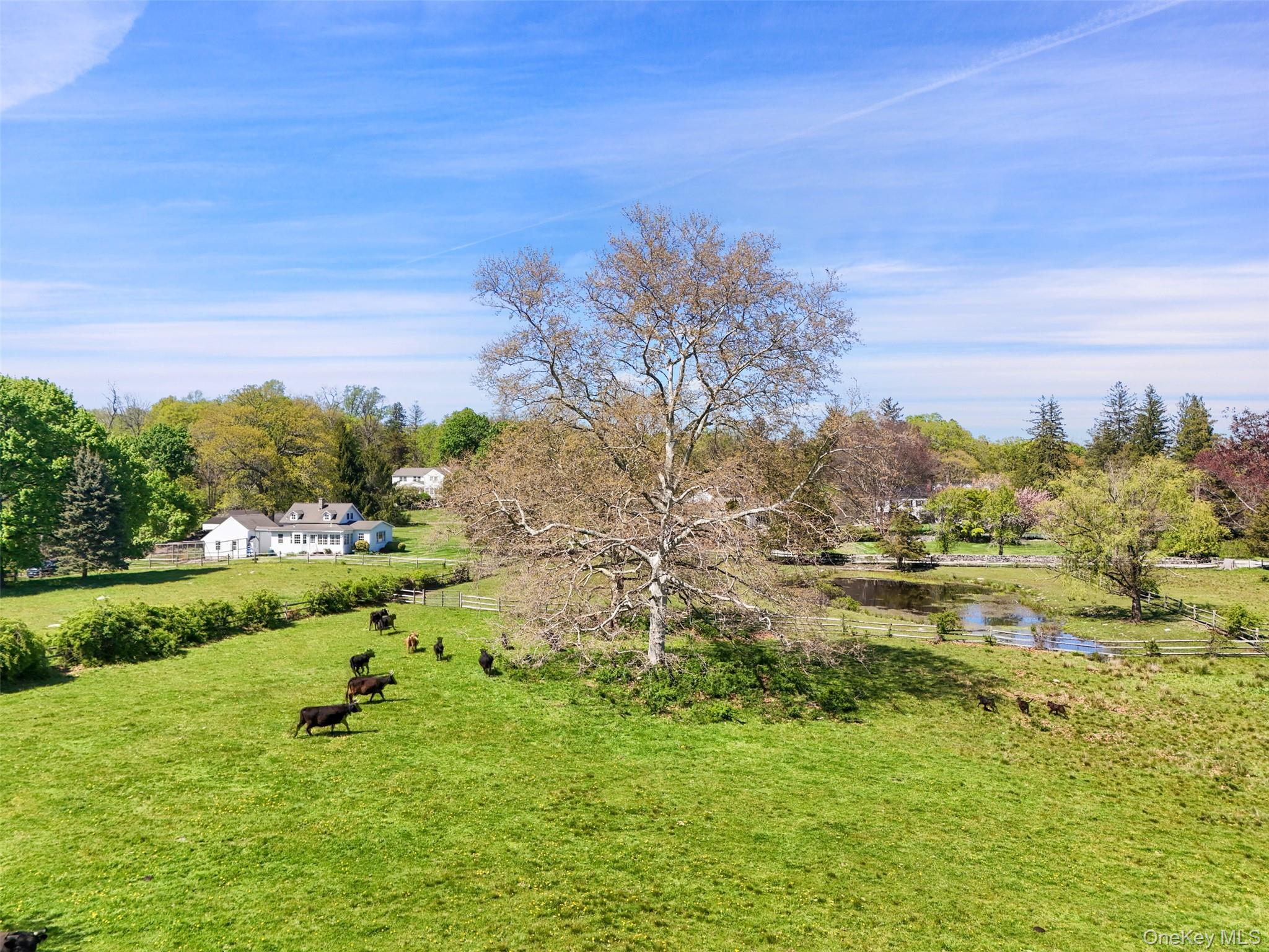 Single Family Mclain Street  Westchester County, NY 10507, MLS-992131-40