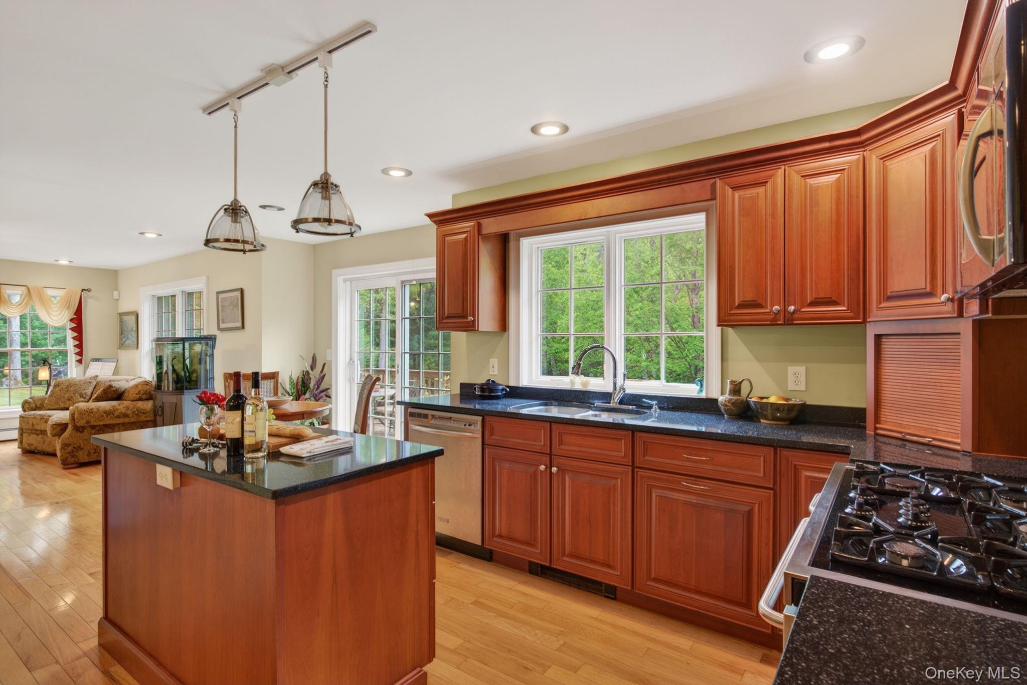 Single Family Bush Road  Ulster County, NY 12484, MLS-992141-14
