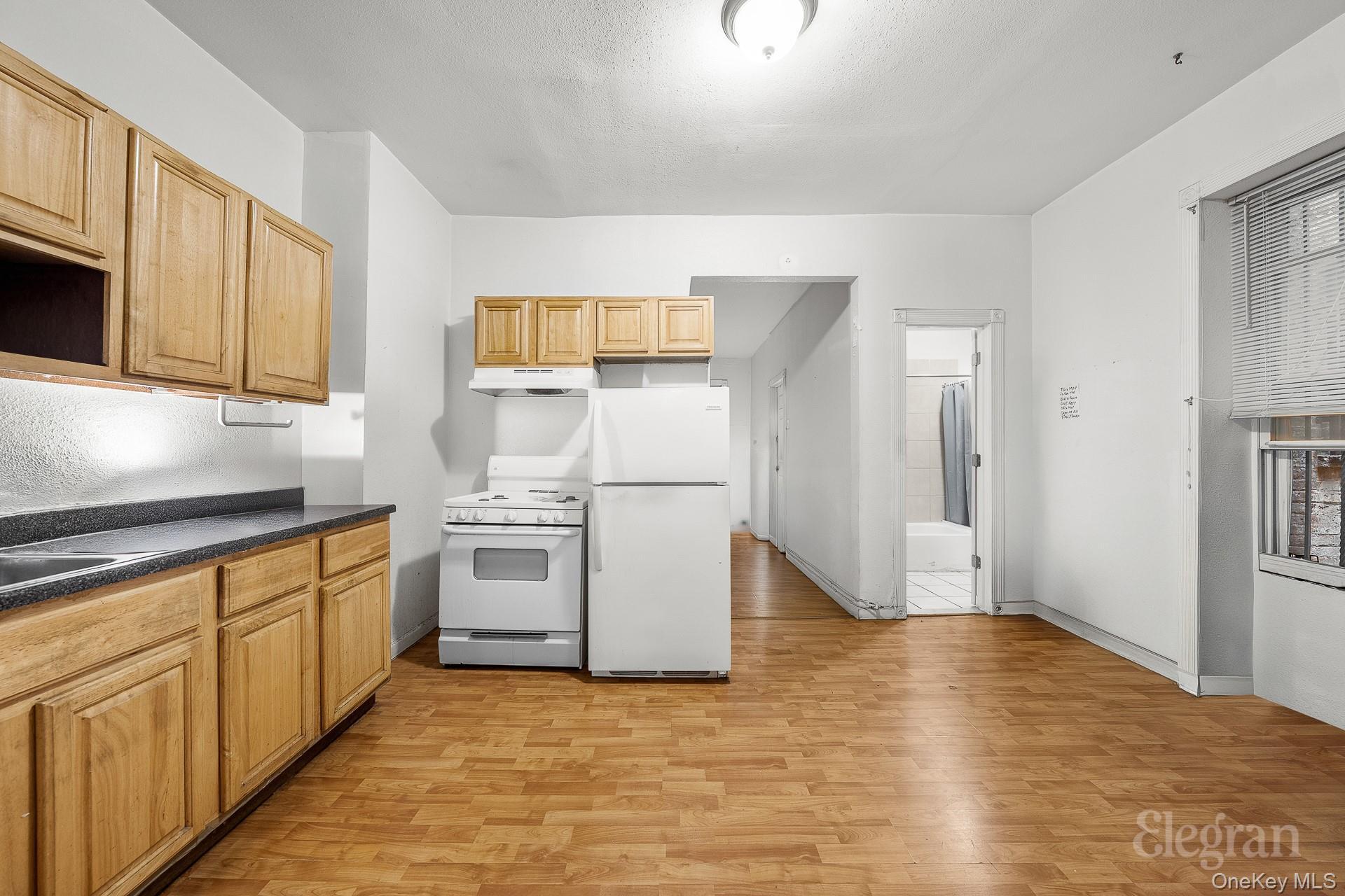 Single Family Wyona Street Brooklyn, NY 11207, MLS-992162-12