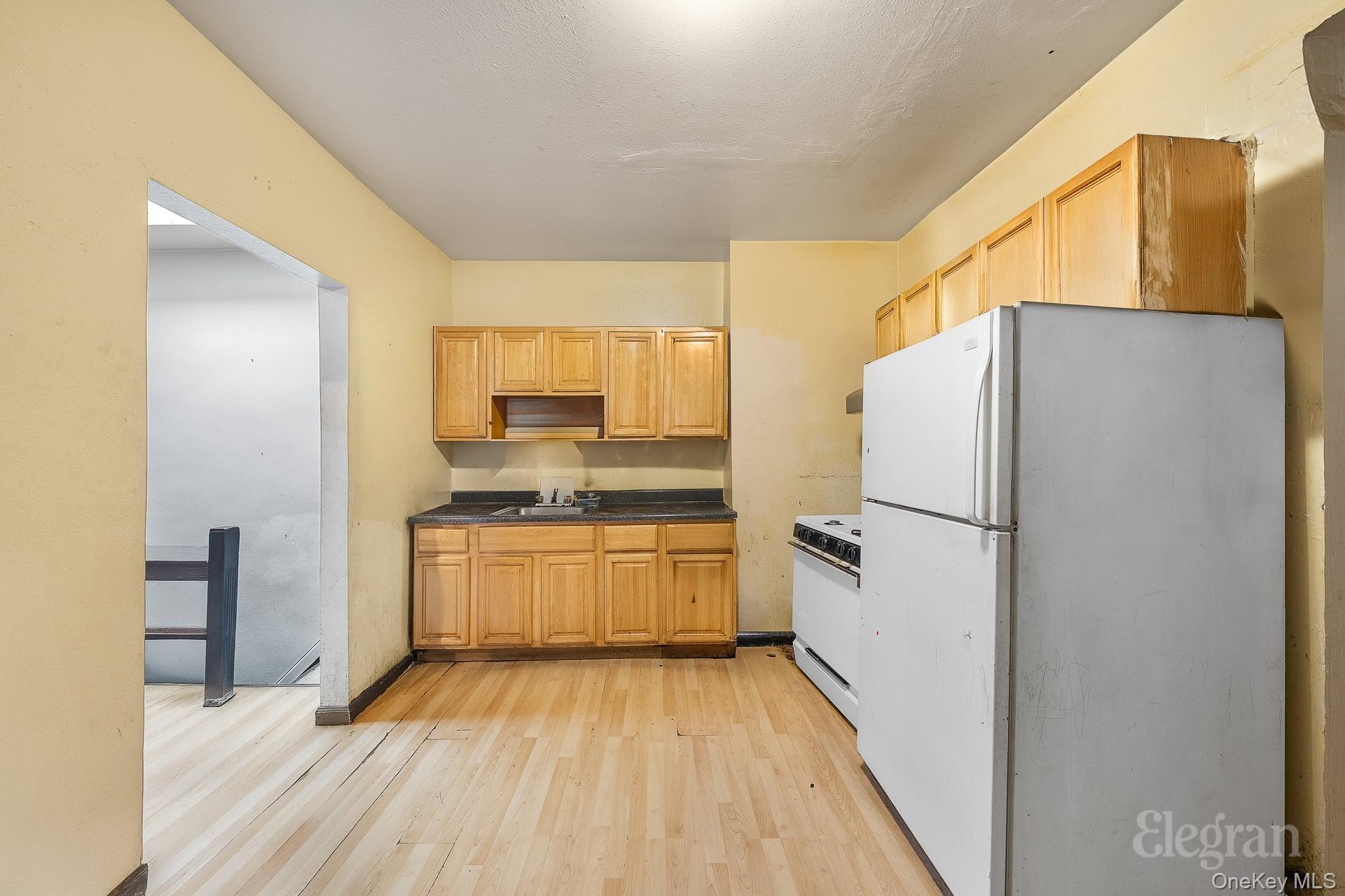 Single Family Wyona Street Brooklyn, NY 11207, MLS-992162-13