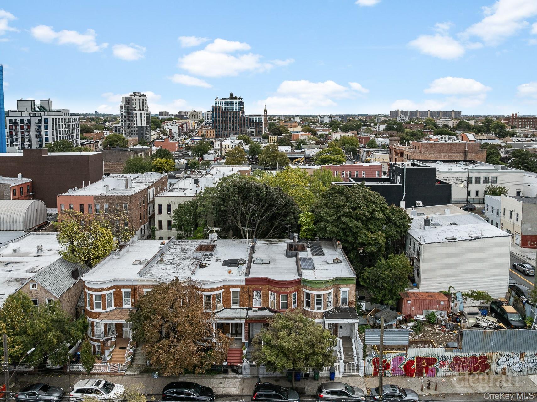 Single Family Wyona Street Brooklyn, NY 11207, MLS-992162-17