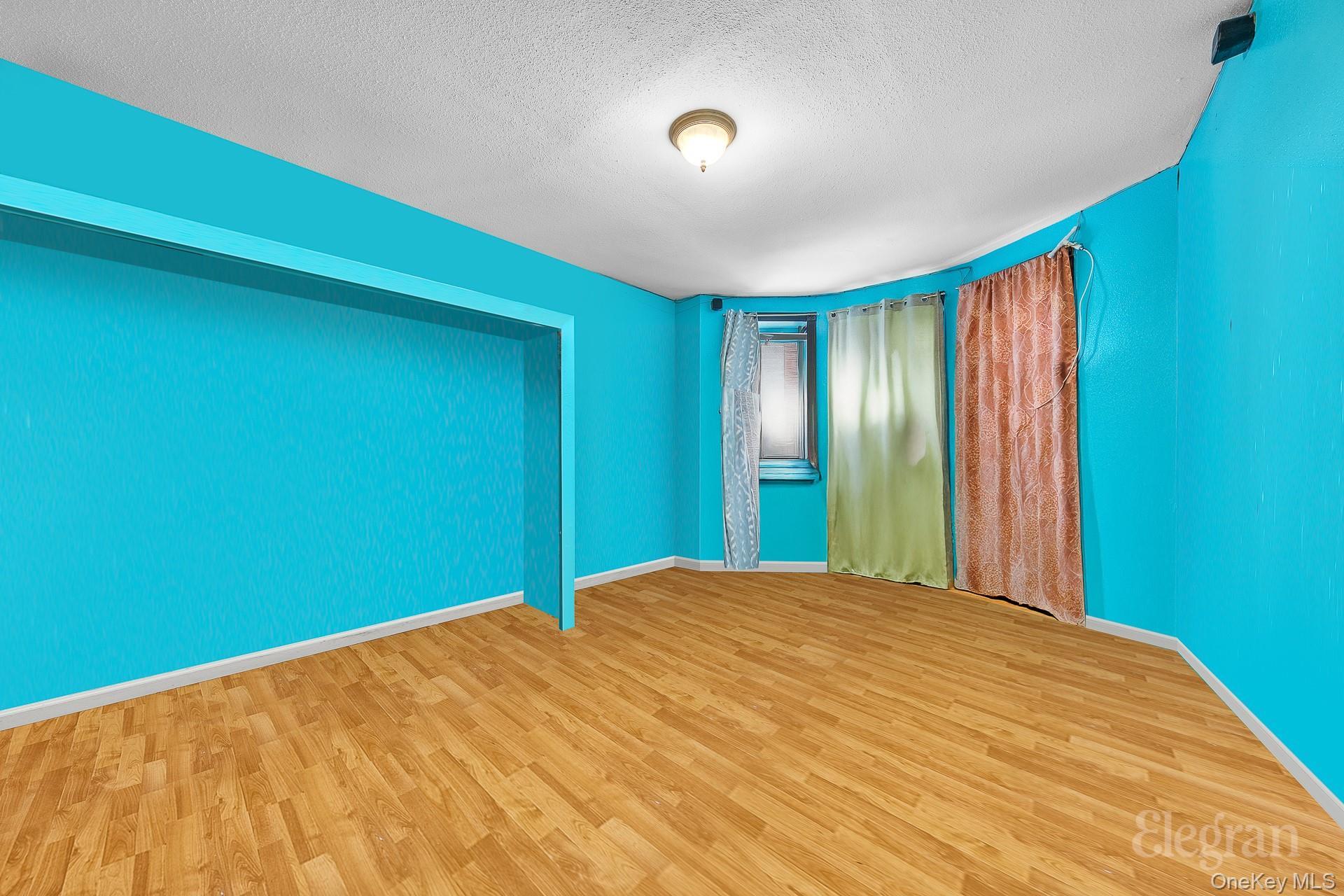 Single Family Wyona Street Brooklyn, NY 11207, MLS-992162-2