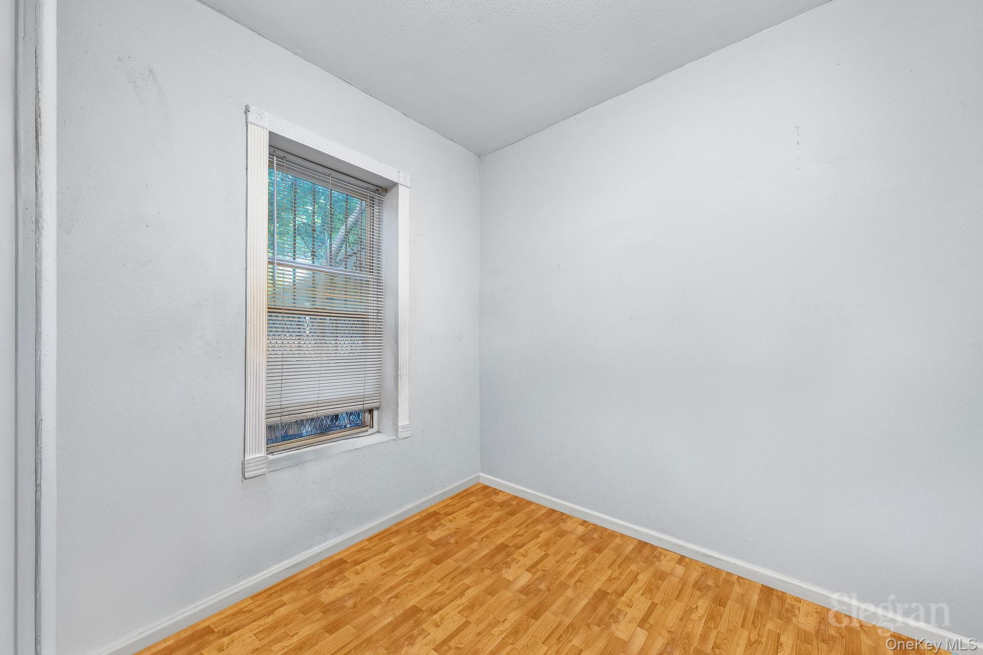 Single Family Wyona Street Brooklyn, NY 11207, MLS-992162-6