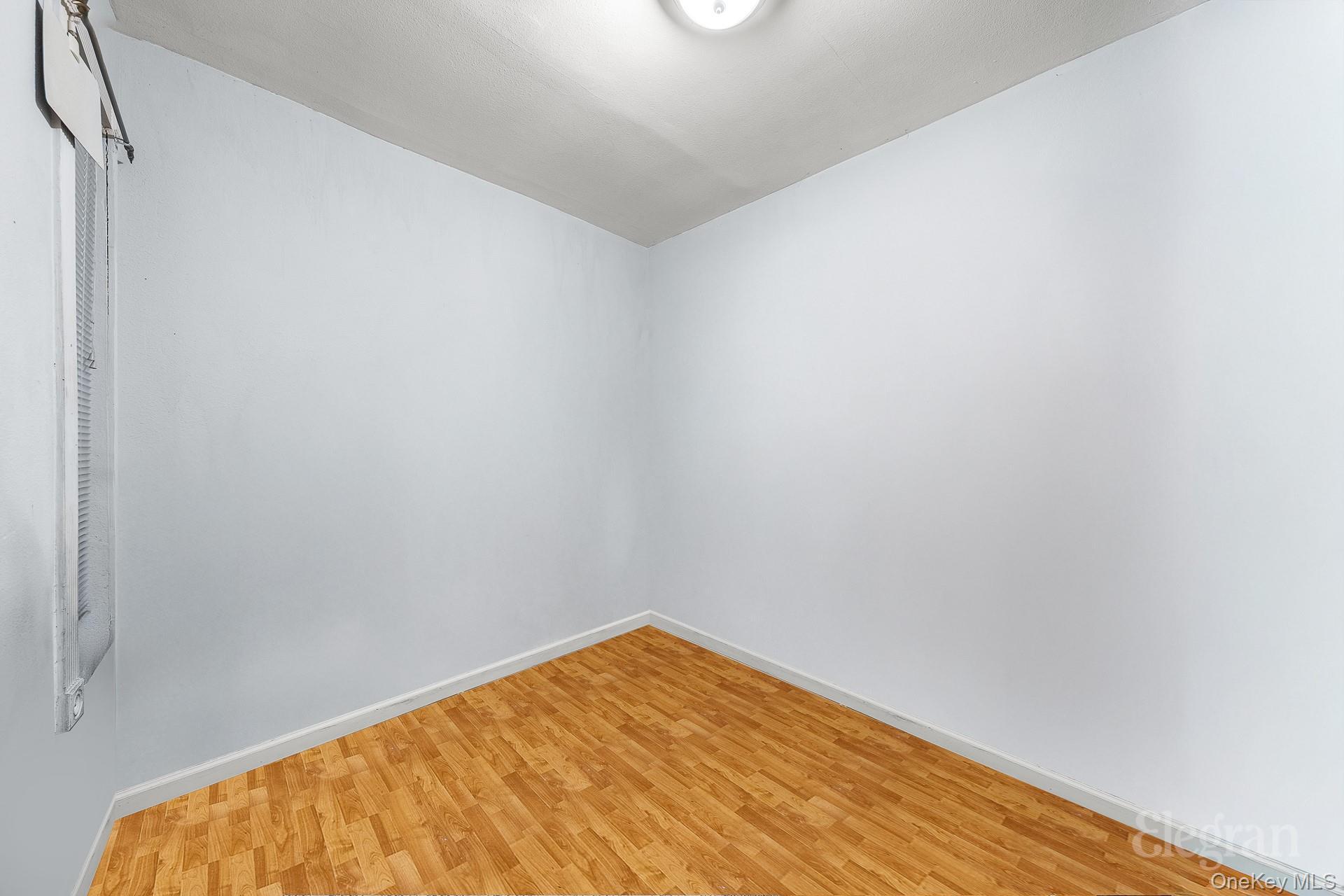 Single Family Wyona Street Brooklyn, NY 11207, MLS-992162-8