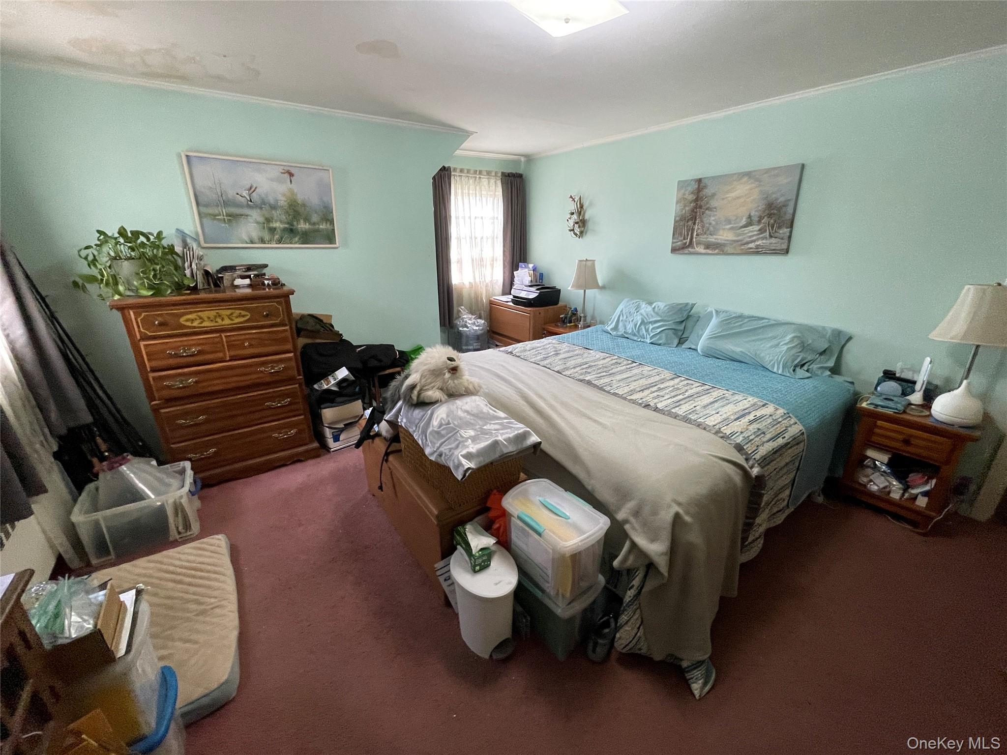 Single Family Grand  Suffolk County, NY 11757, MLS-992179-25