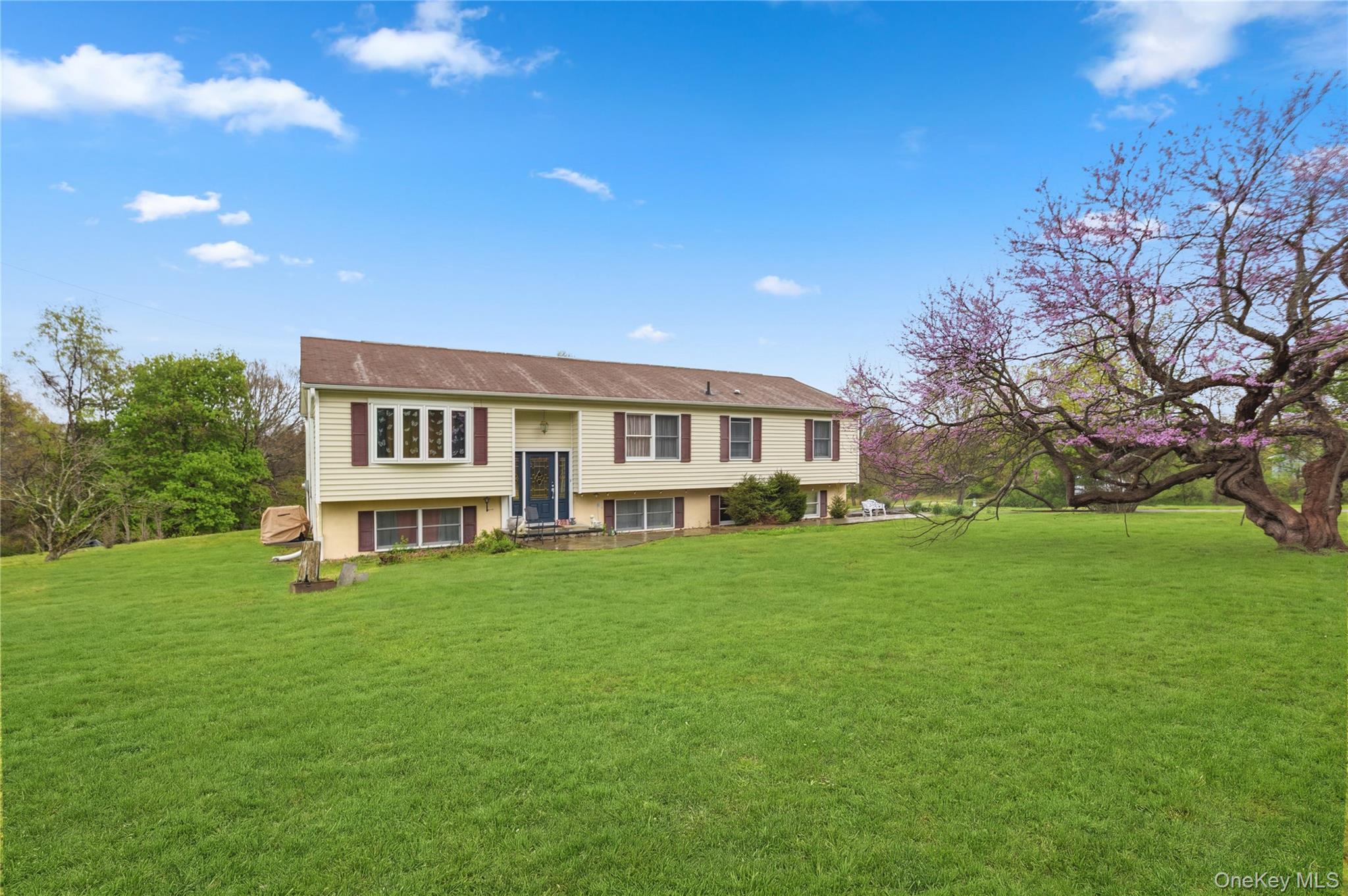 Single Family Scotchtown Collabar  Orange County, NY 10941, MLS-992219-3