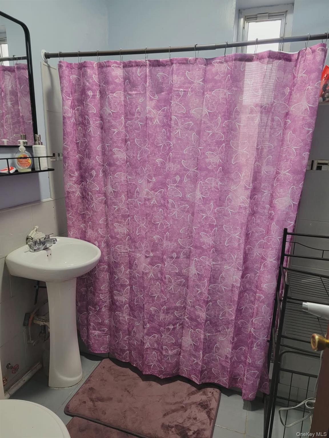 Single Family Ashford  Brooklyn, NY 11207, MLS-992238-8