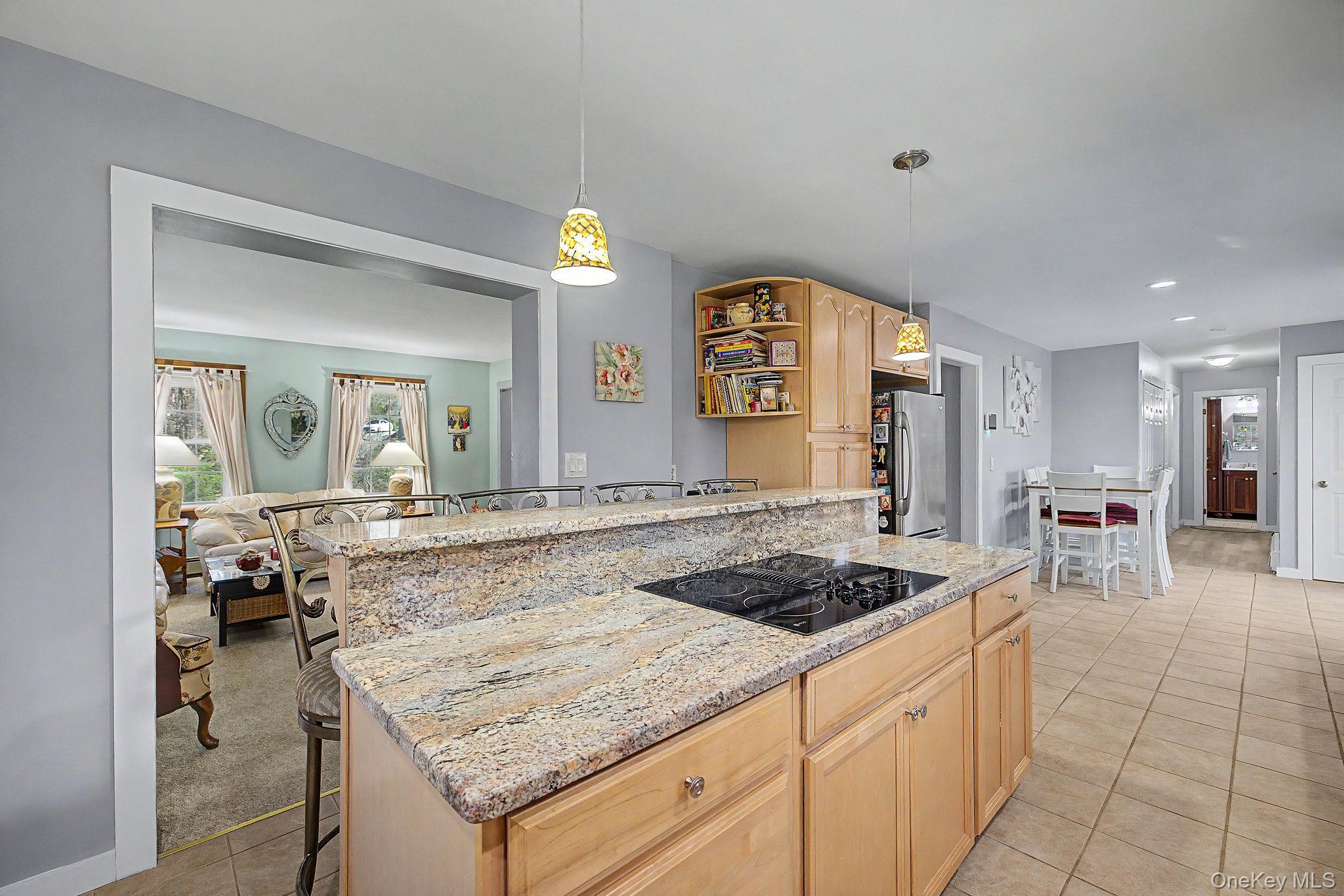 Single Family Buhleir Road Dutchess County, NY 12564, MLS-992269-8