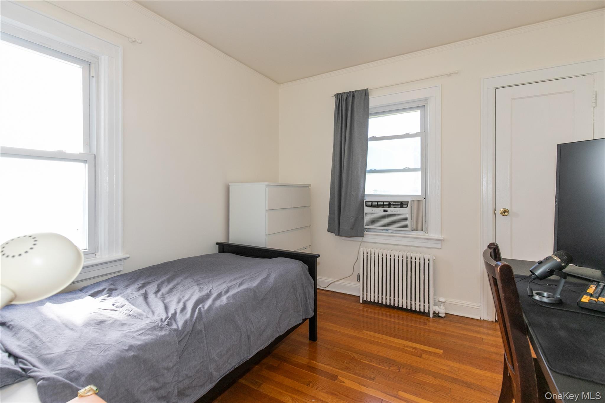 Single Family Theodora  Nassau County, NY 11010, MLS-992283-14