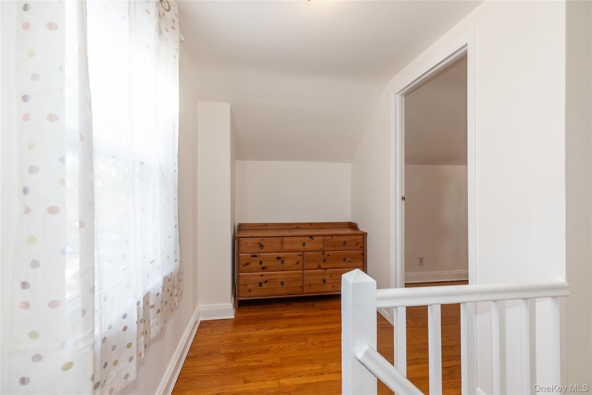 Single Family Theodora  Nassau County, NY 11010, MLS-992283-15