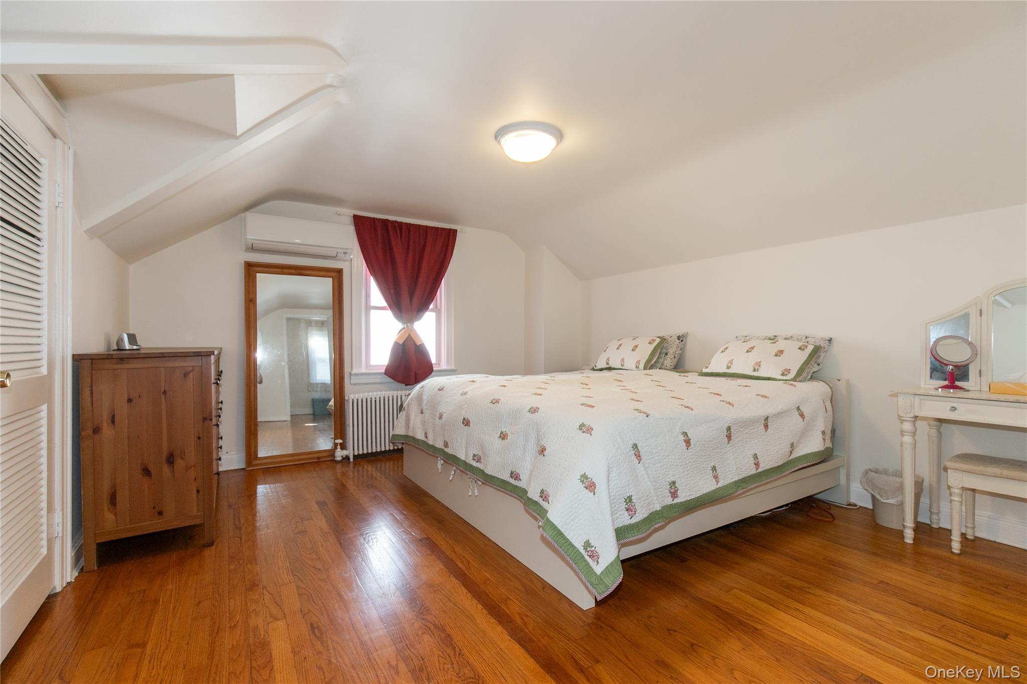 Single Family Theodora  Nassau County, NY 11010, MLS-992283-16