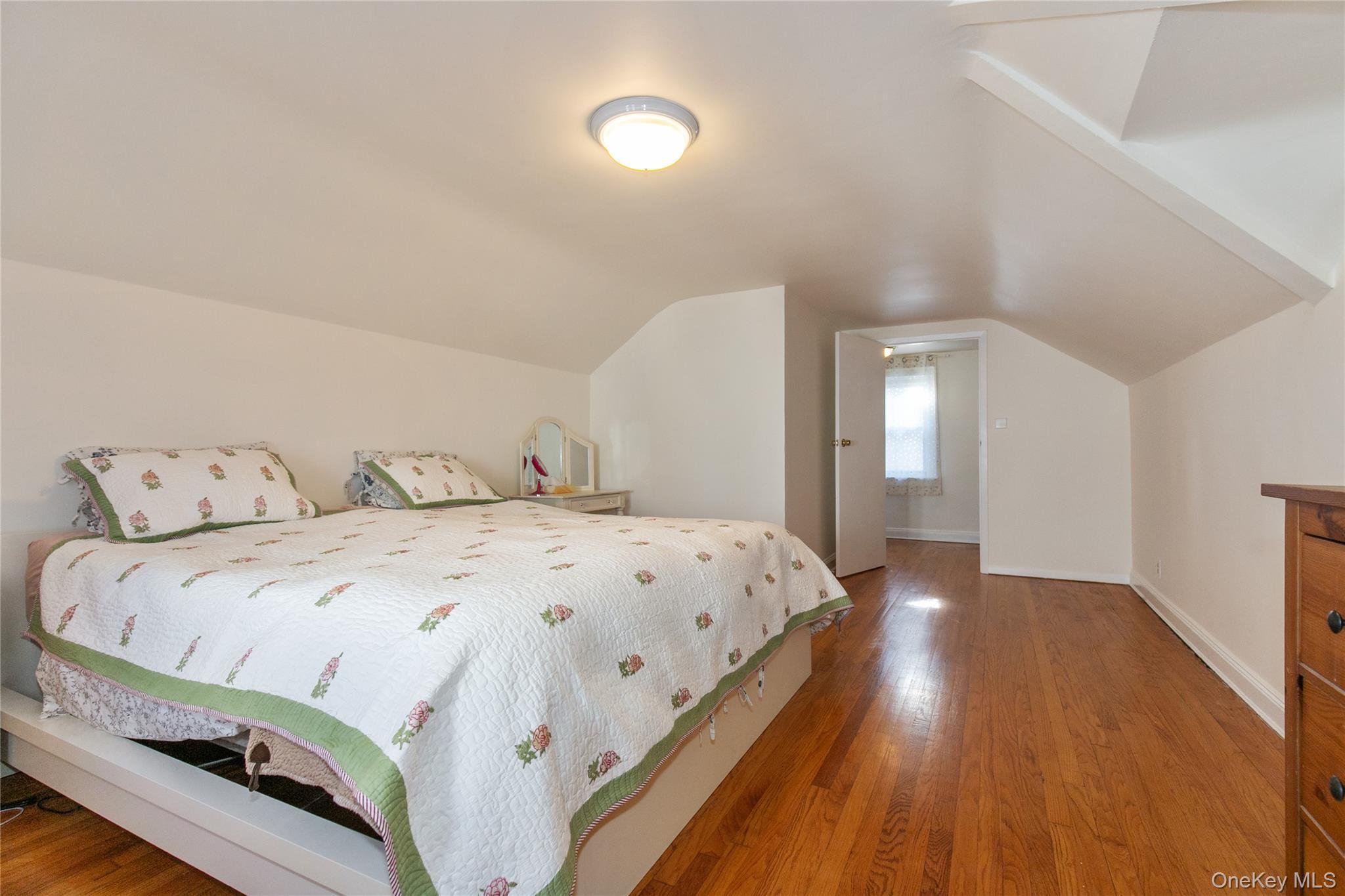 Single Family Theodora  Nassau County, NY 11010, MLS-992283-17