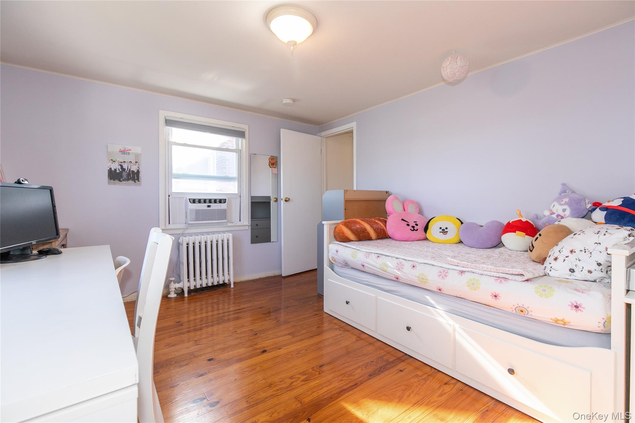 Single Family Theodora  Nassau County, NY 11010, MLS-992283-18