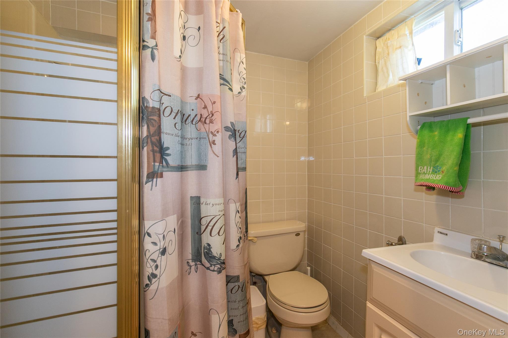 Single Family Theodora  Nassau County, NY 11010, MLS-992283-24